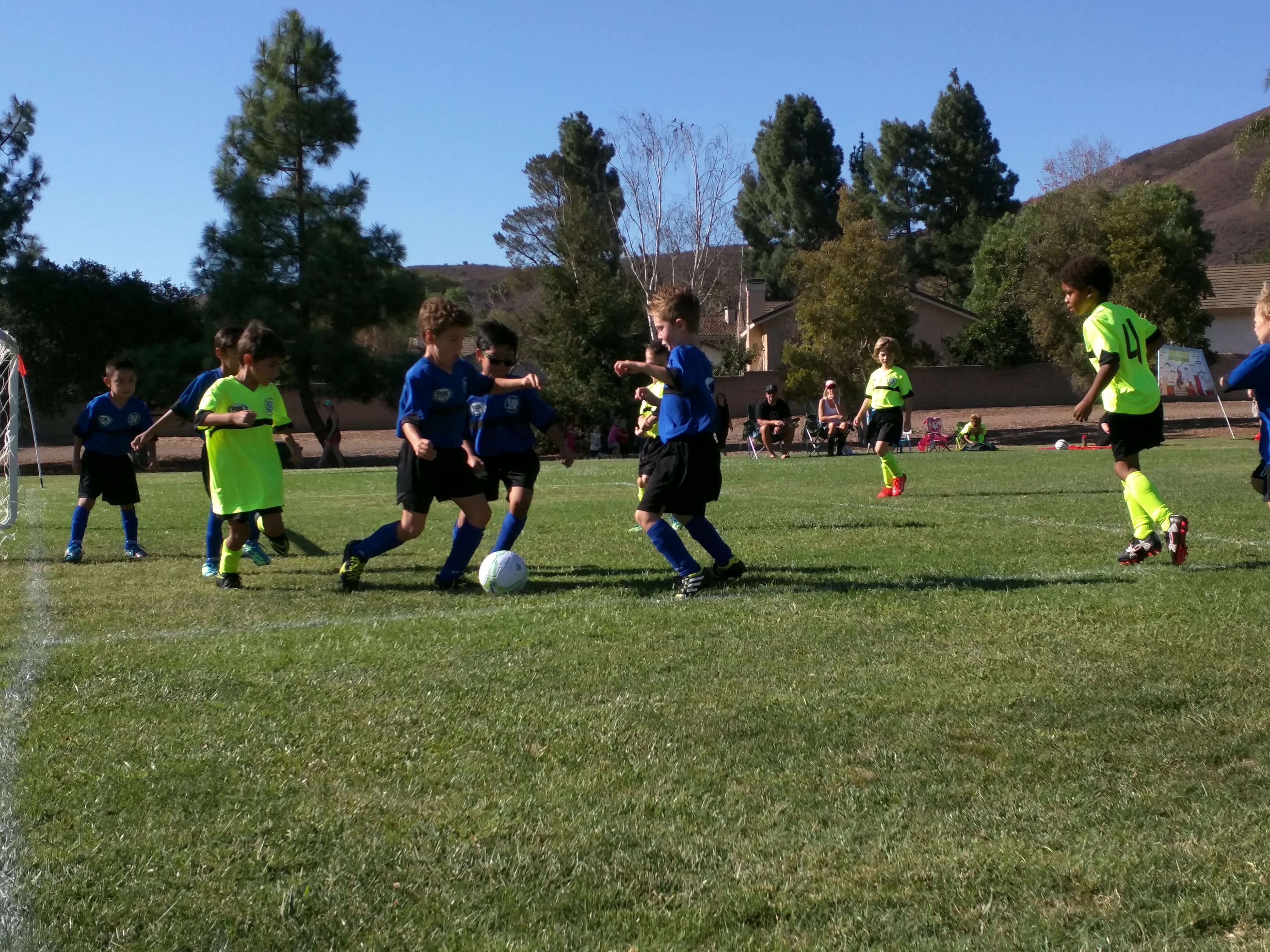 Young children in blue and yellow-green uniforms play soccer on a grass field.