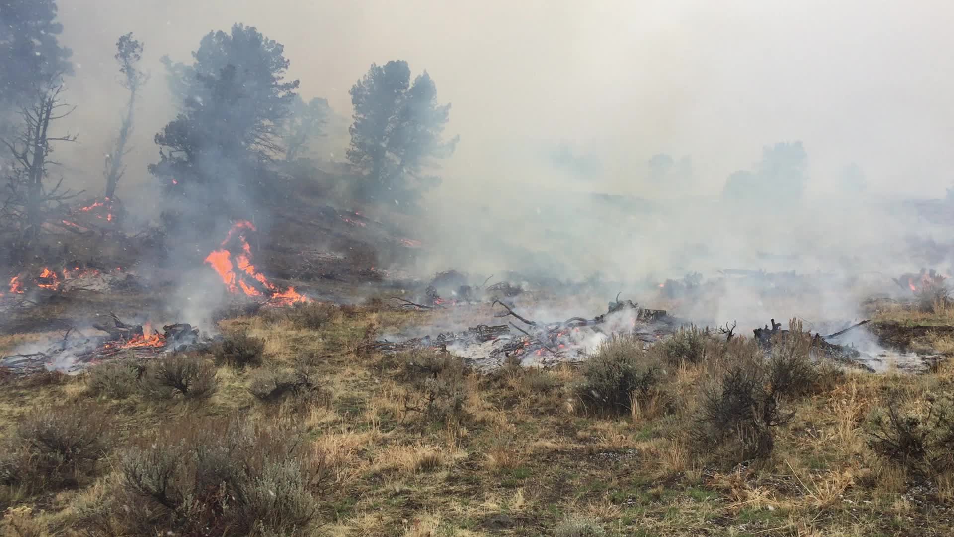 Flames and thick smoke rise from burning brush and debris during a controlled burn.