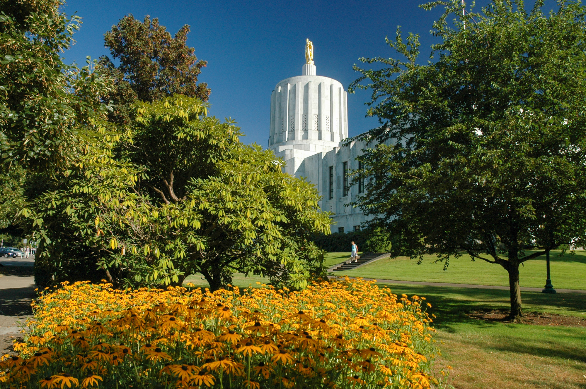 White capitol building with gold-topped dome surrounded by blooming orange and yellow flowers.