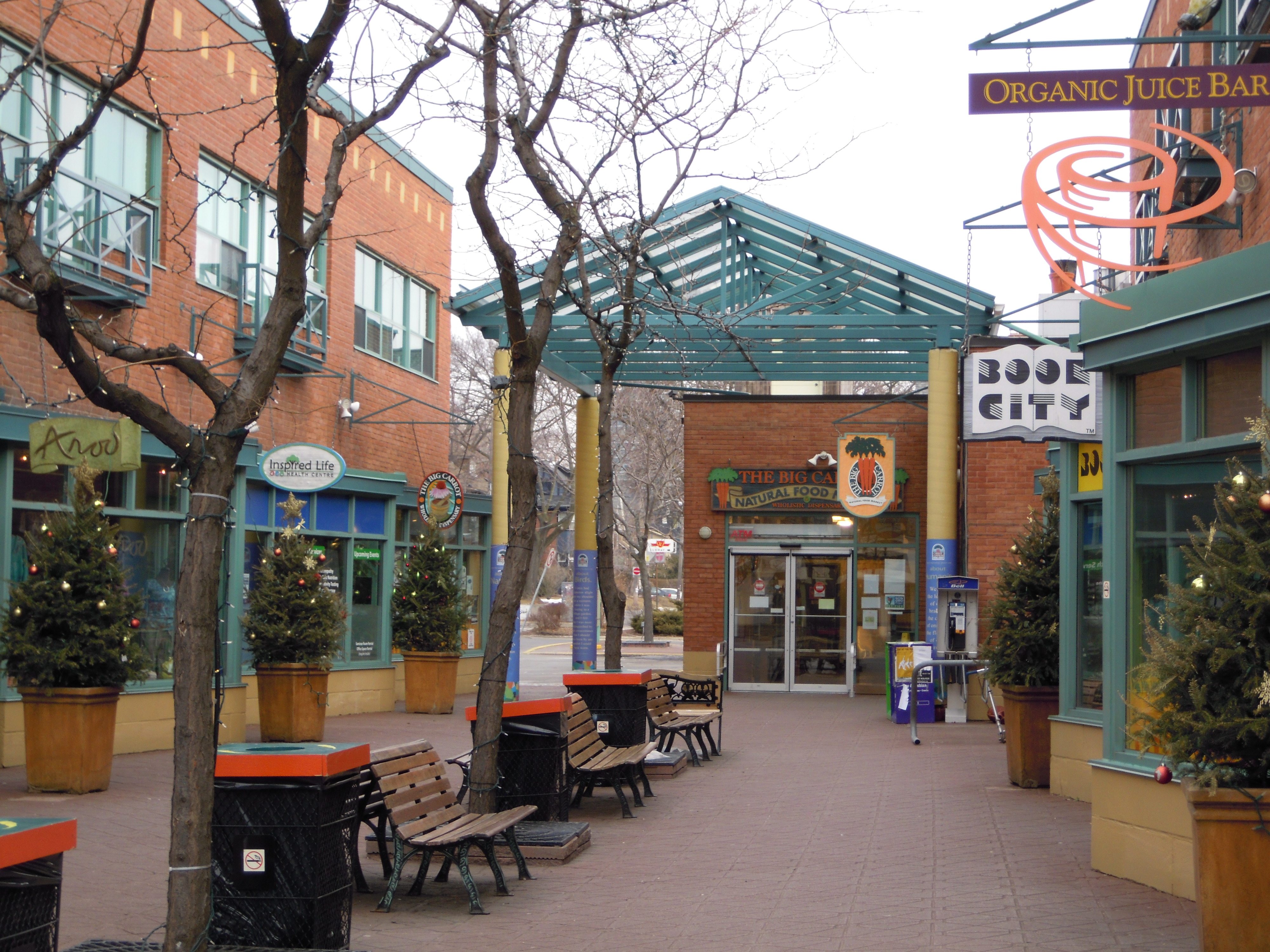 Outdoor courtyard entrance to a natural food grocery store with bare trees and benches.