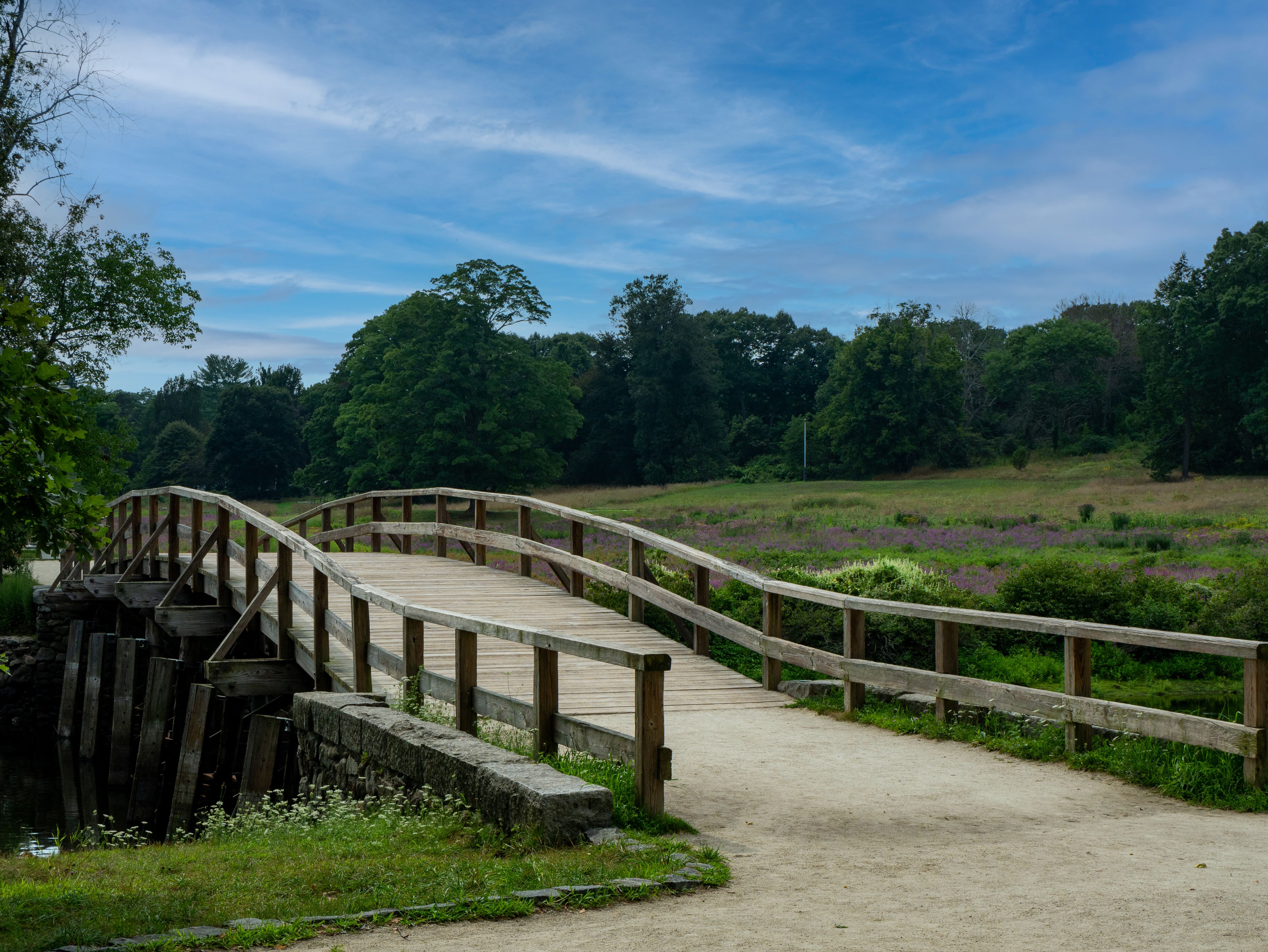 Wooden arched footbridge over a river with wildflowers in a meadow beyond.