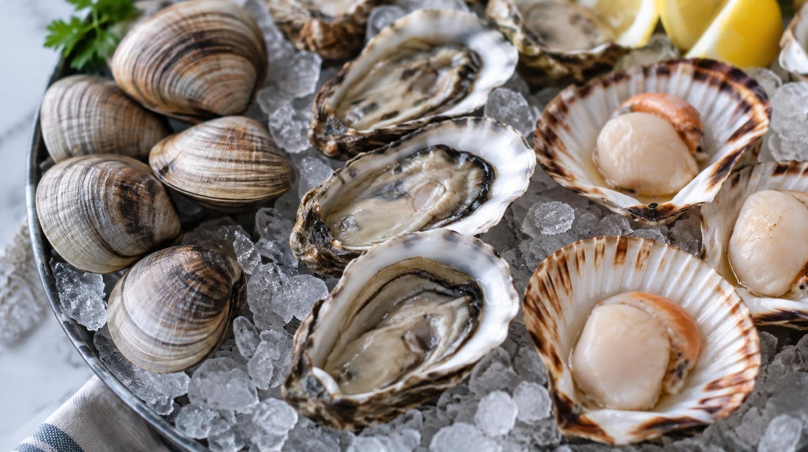 Clams, oysters, and scallops displayed on a bed of crushed ice.