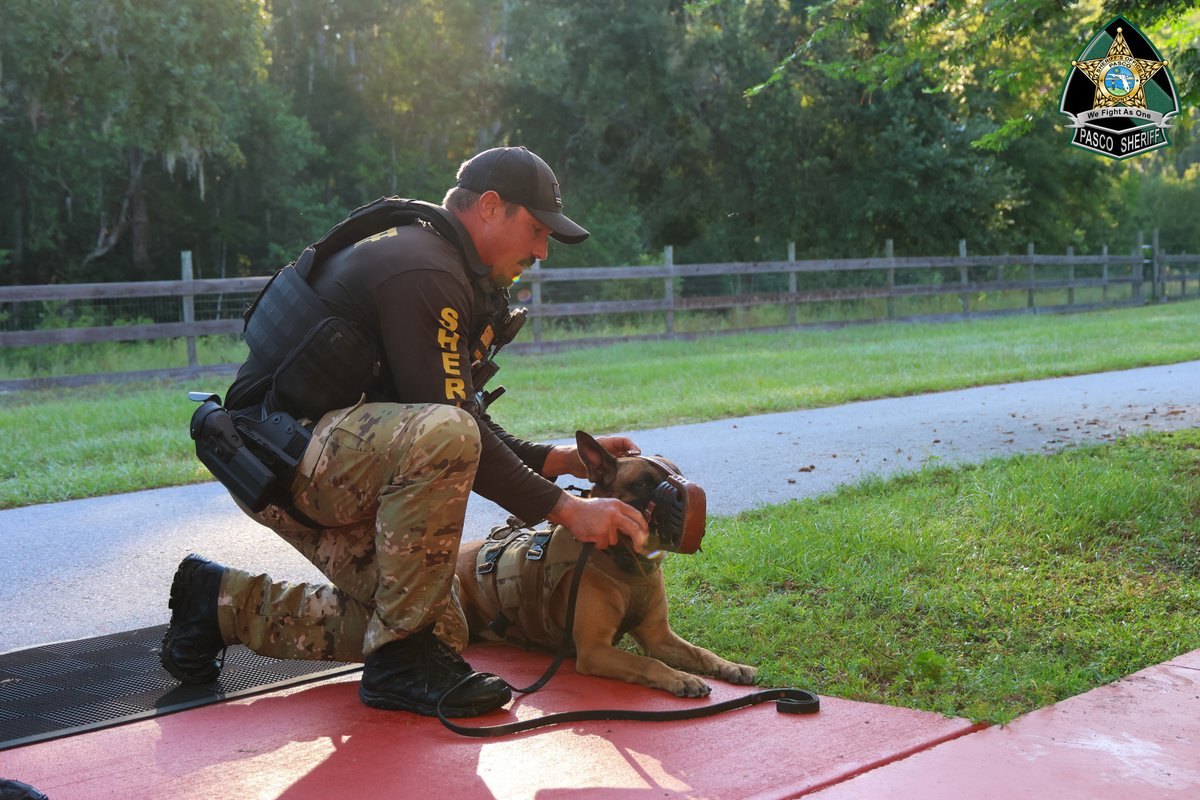 Uniformed sheriff's deputy kneeling on a red mat with a dog wearing a tactical vest.