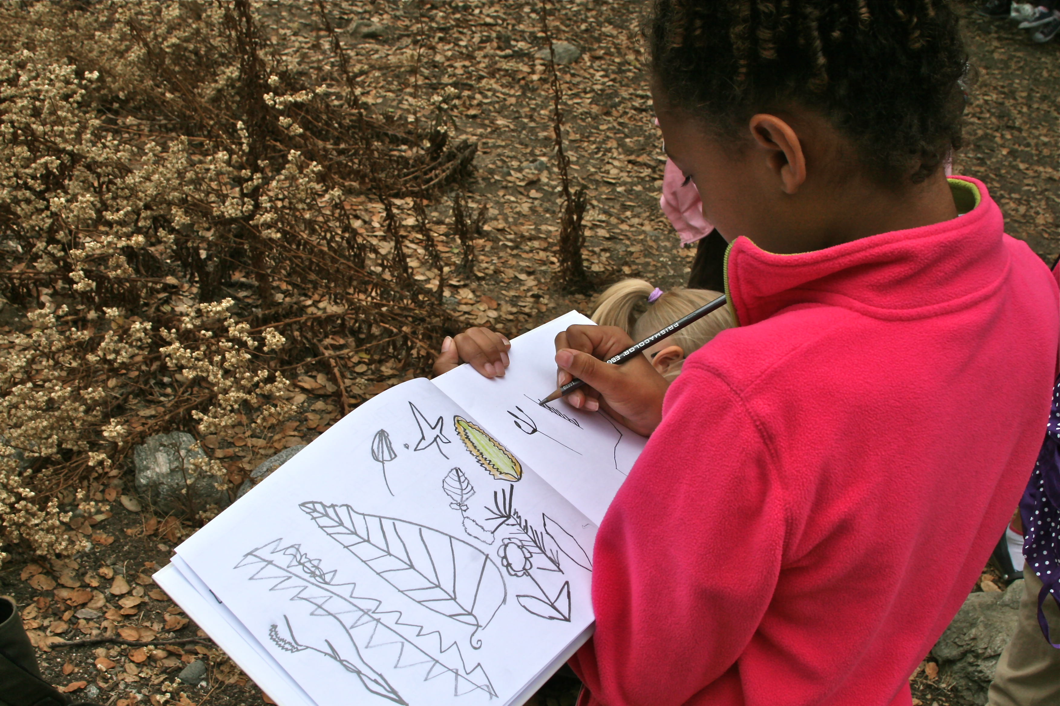 A child in a pink sweatshirt draws leaf illustrations in a sketchbook outdoors.