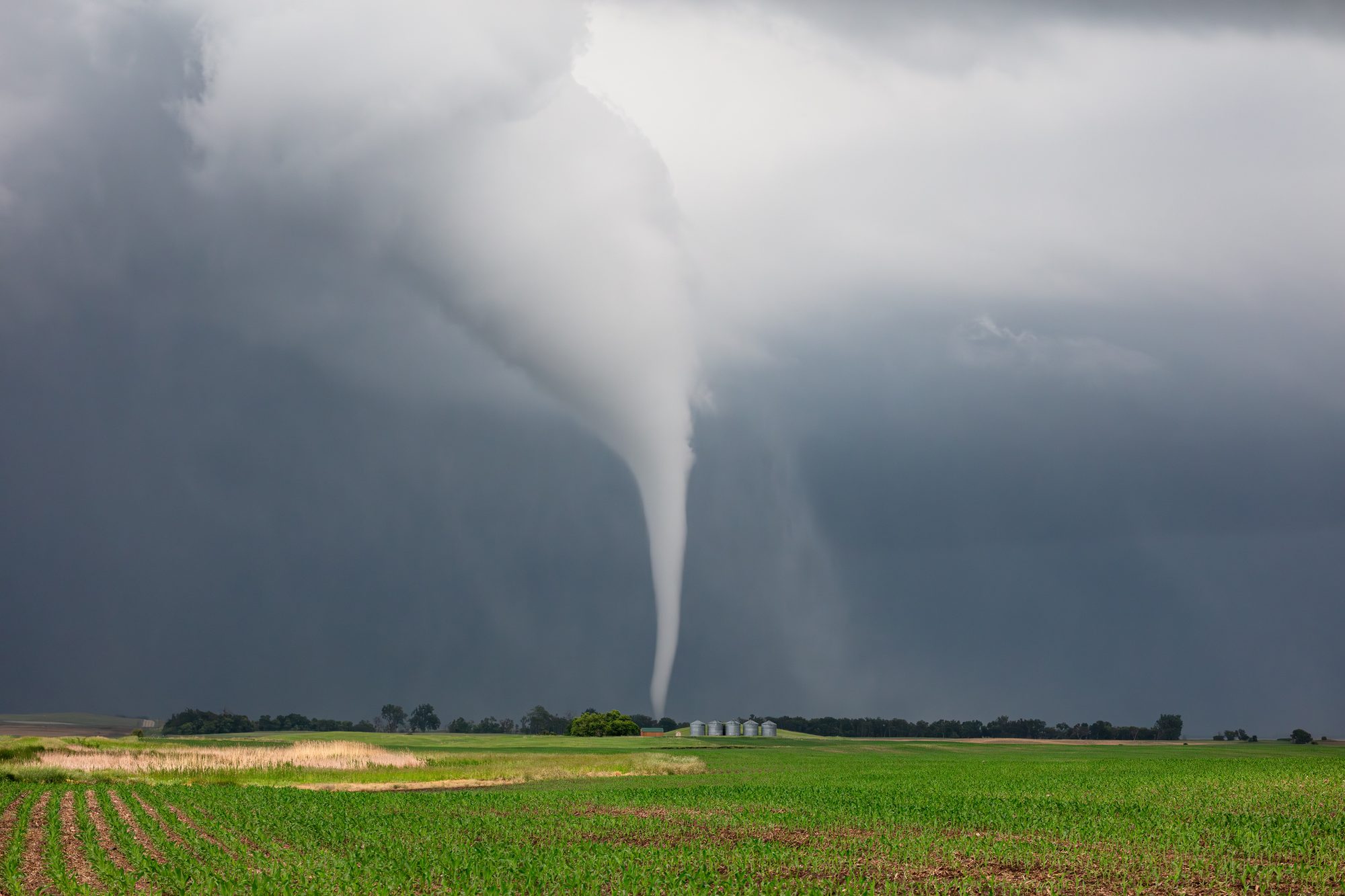Tornado over a farm field