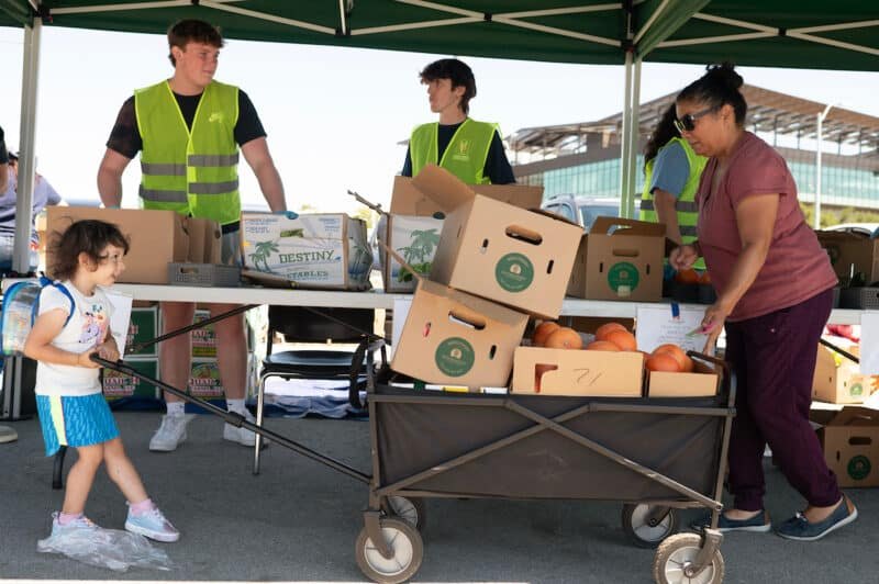 Two volunteers in yellow vests distribute cardboard produce boxes at an outdoor food distribution event.