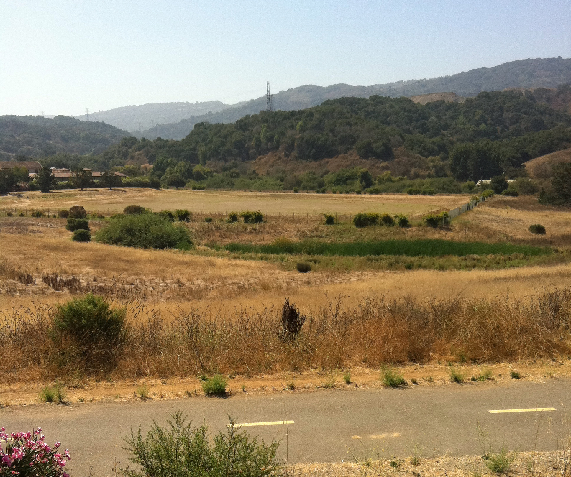 Dry open field with a green creek corridor, oak-covered hills, and a road in the foreground.