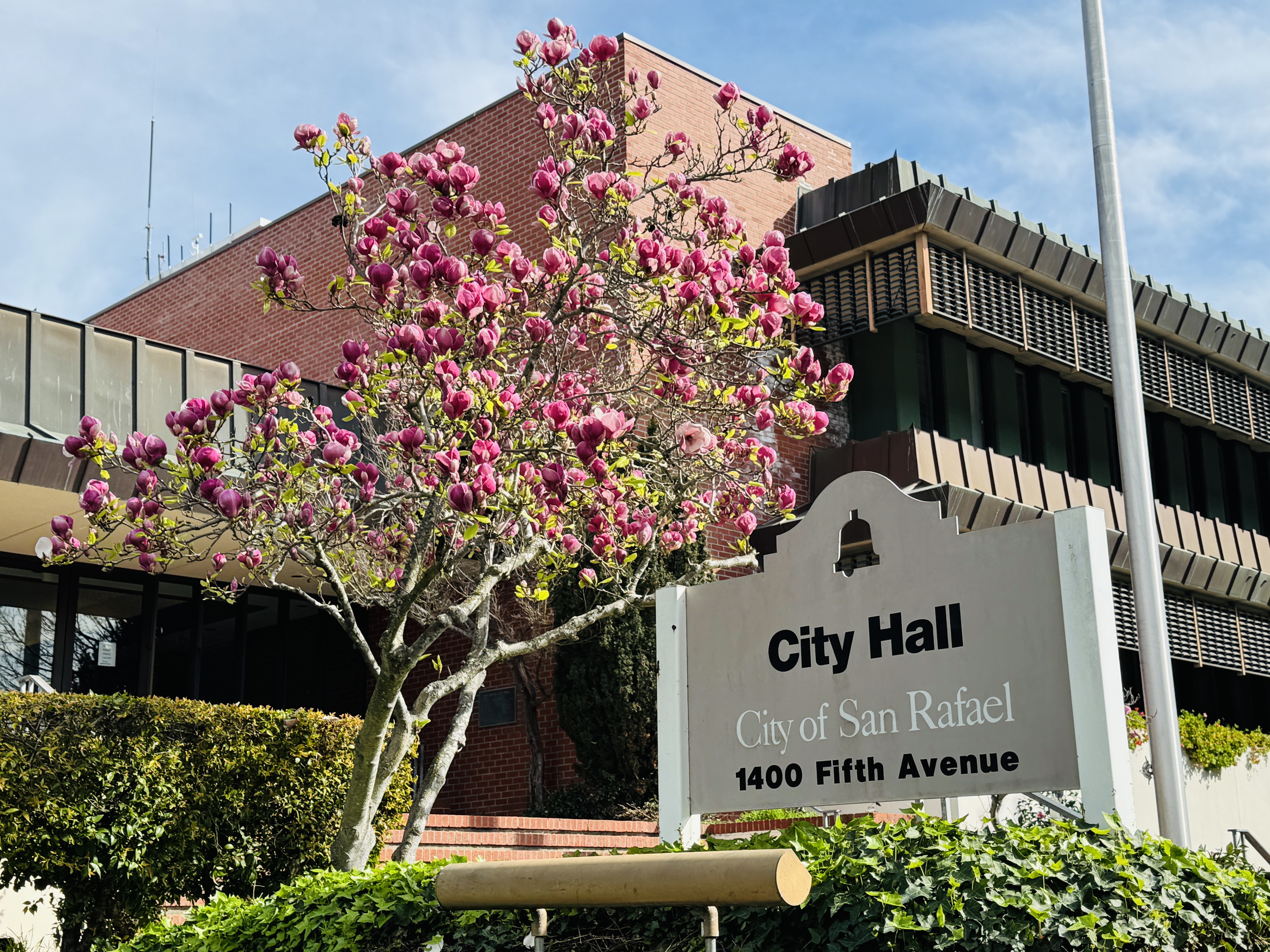 Exterior of San Rafael City Hall building on a clear day.