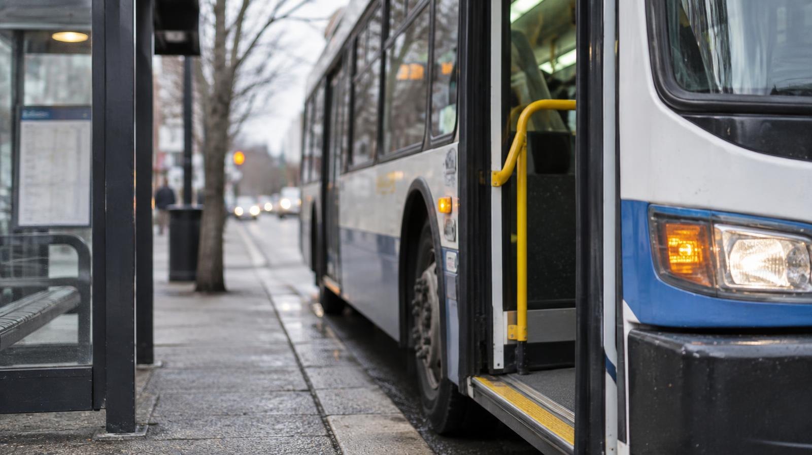 A public transit bus with open doors at a covered bus stop shelter.
