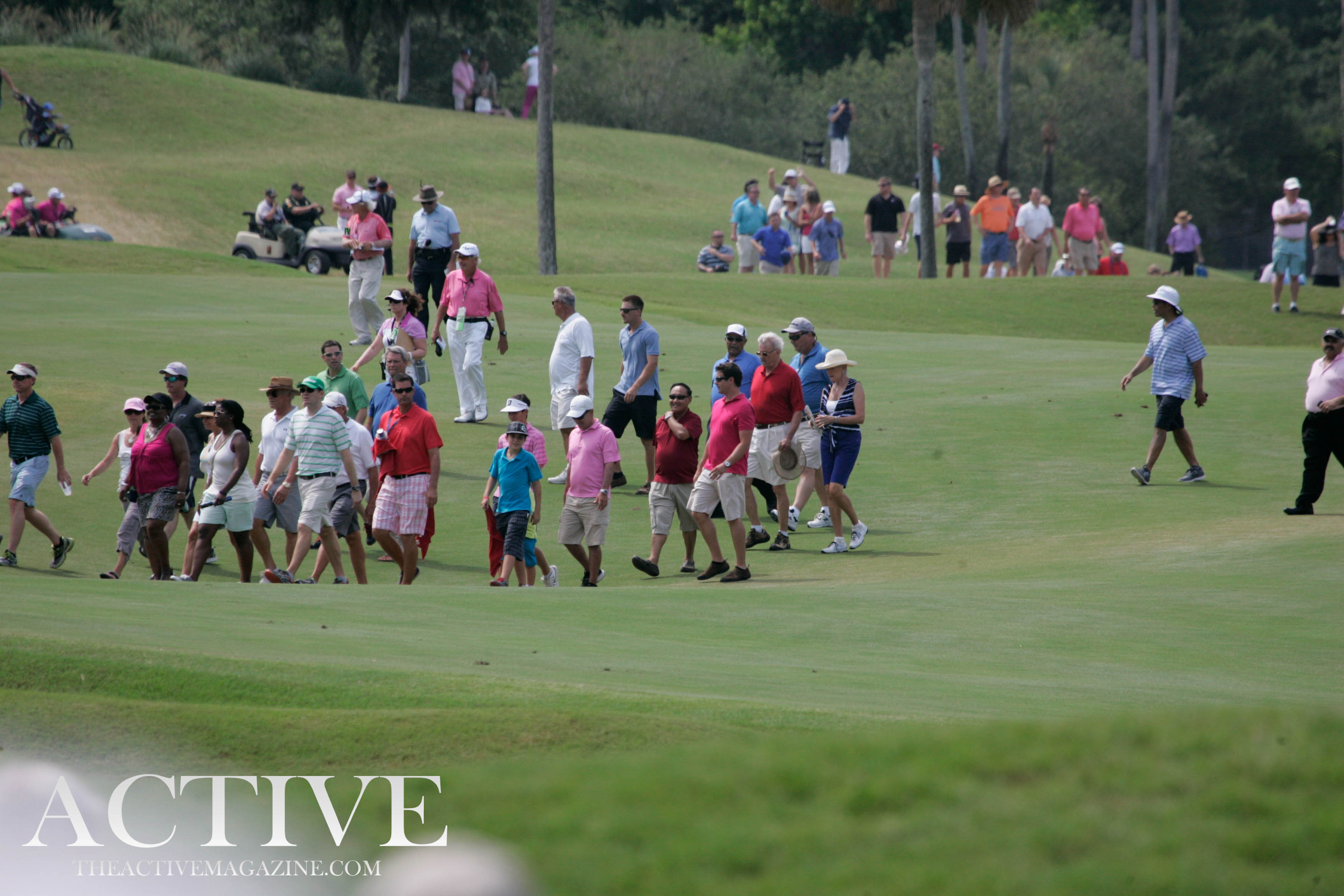 Large crowd of spectators walking along a lush golf course fairway.