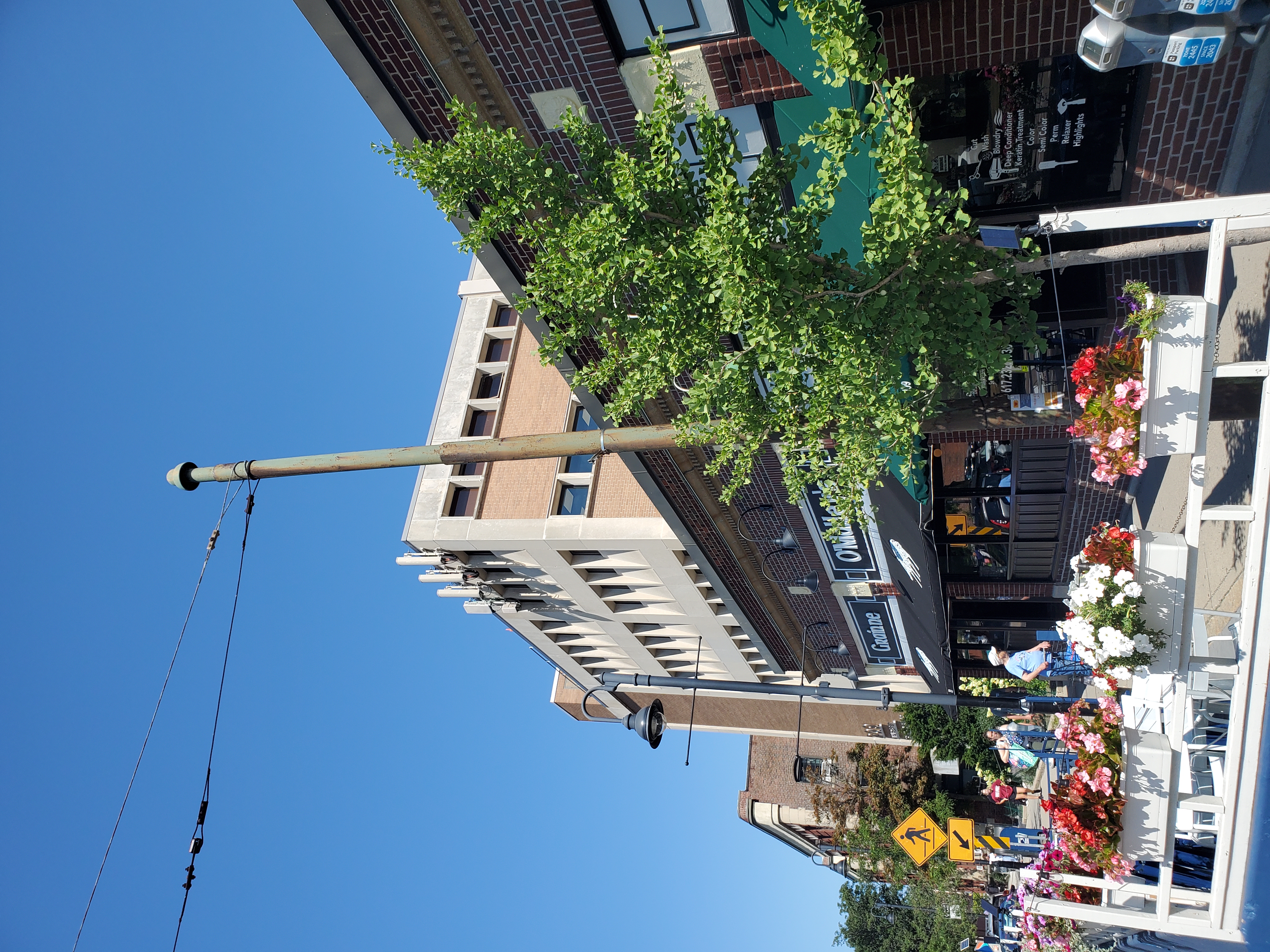 Brick commercial buildings and a trolley wire pole along Harvard Street near Coolidge Corner.