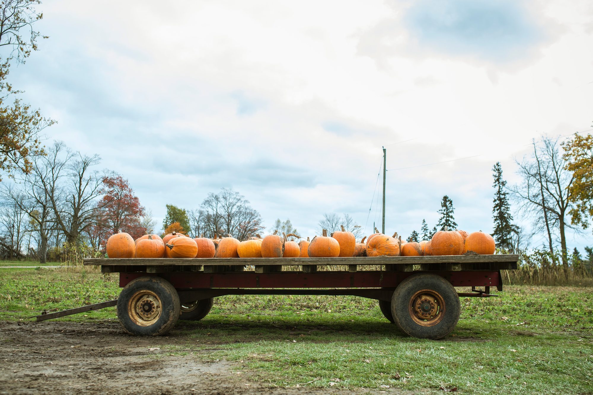 Cart filled with pumpkins set in a rustic autumn landscape.