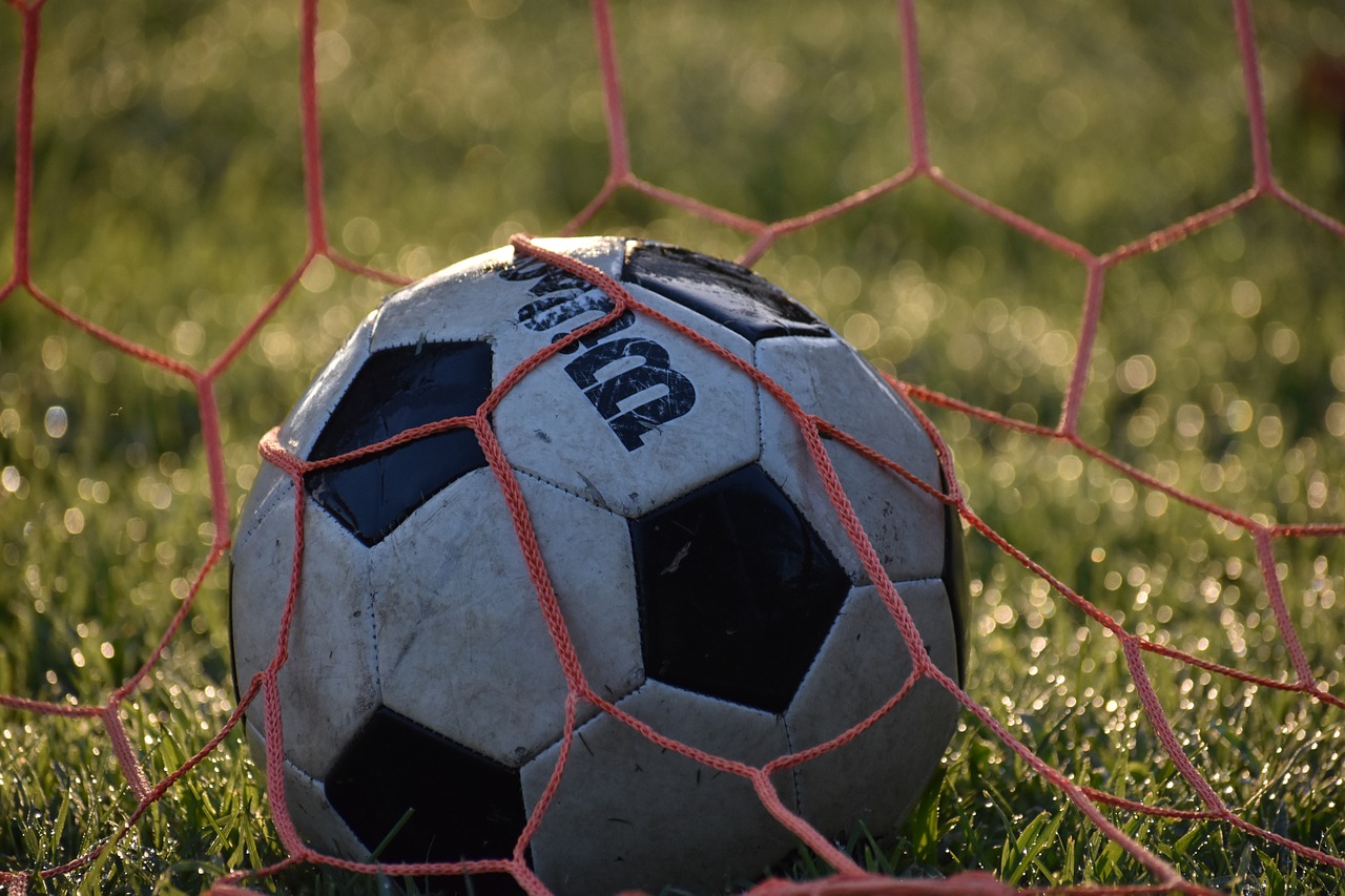 Soccer, football, ball, goal, outdoor, grass, field, nature, net, football net, soccer net, sport, game