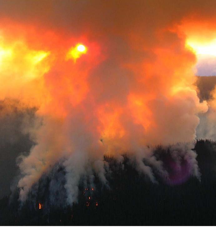 Dense wildfire smoke glows from within with red light
Redstone Fire with dense smoke, Mount Rainier National Park
Keywords: landscape disturbance; fire