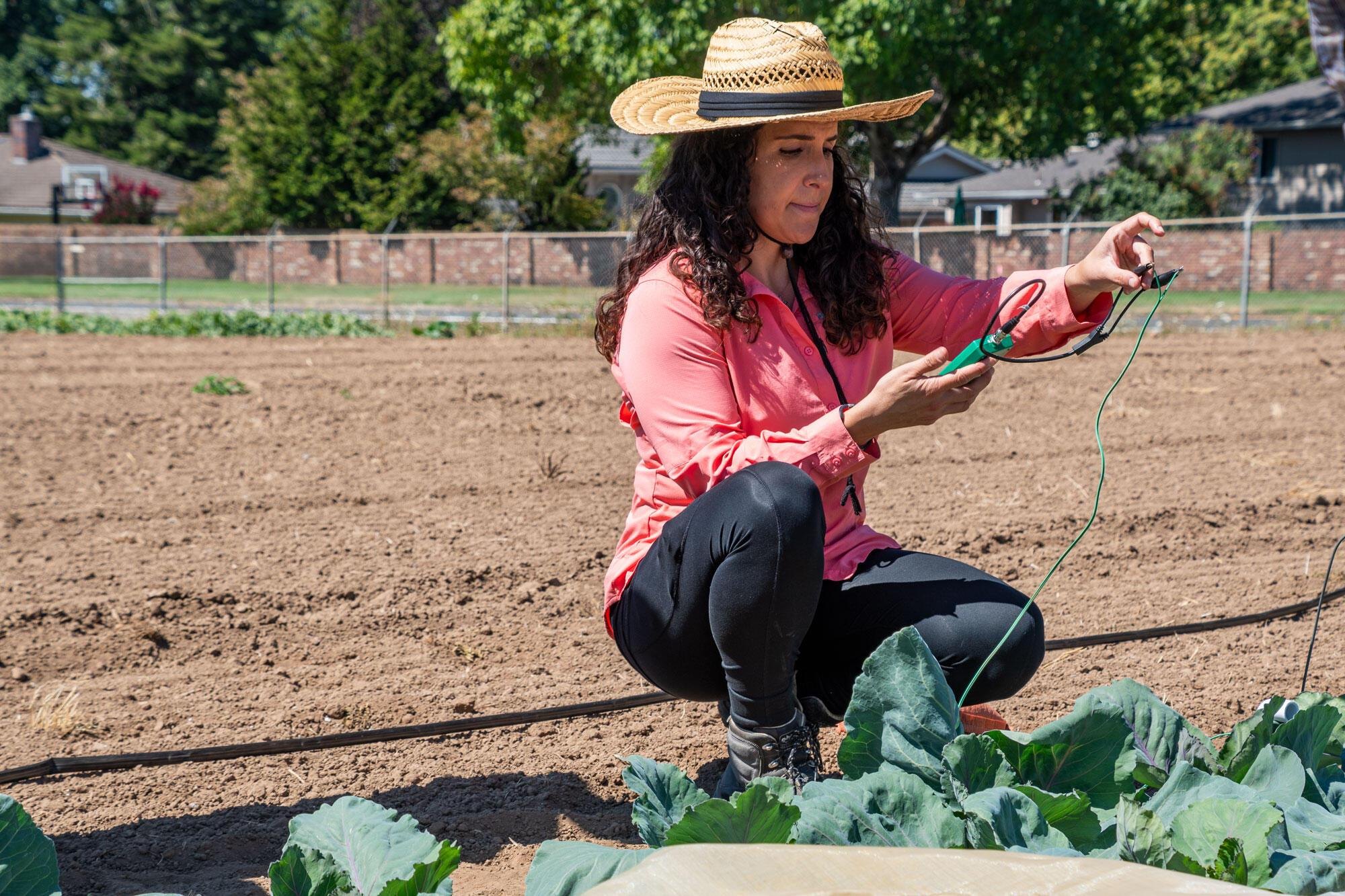 A woman in a straw hat crouches beside leafy crops, holding a small electronic sensor.