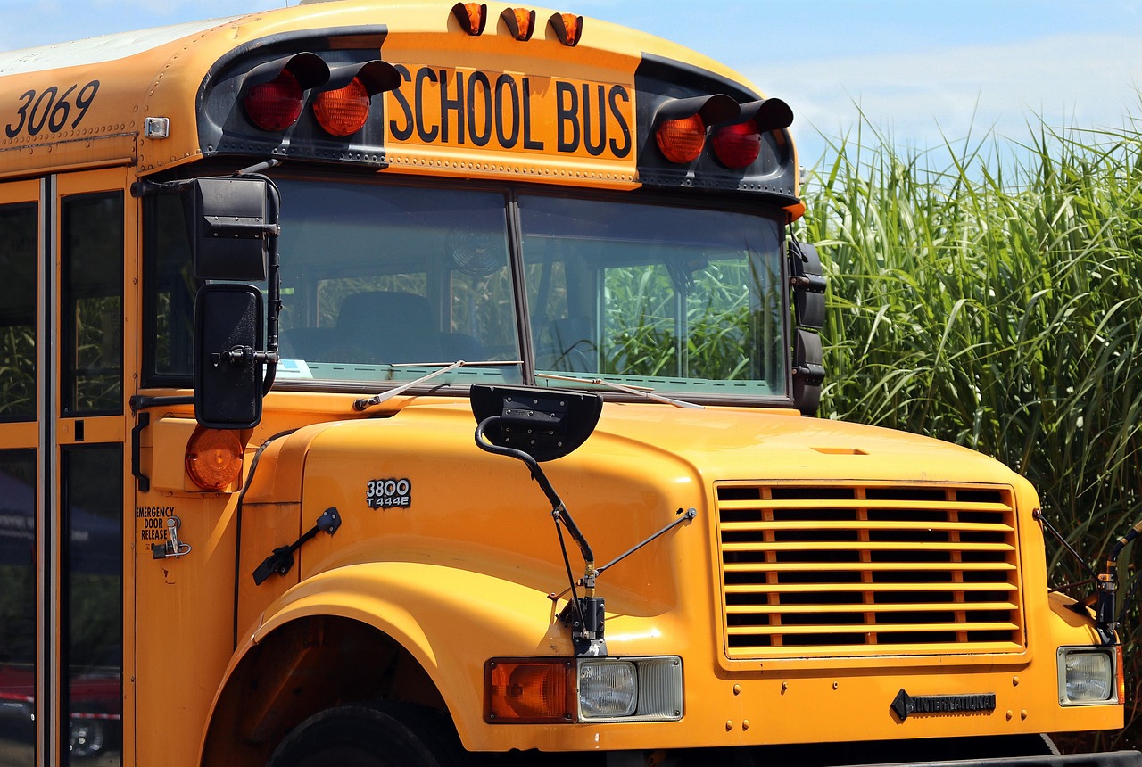 School bus, school, bus, transport, training, vehicle, yellow, back to school, to learn, school bus, school bus, school 