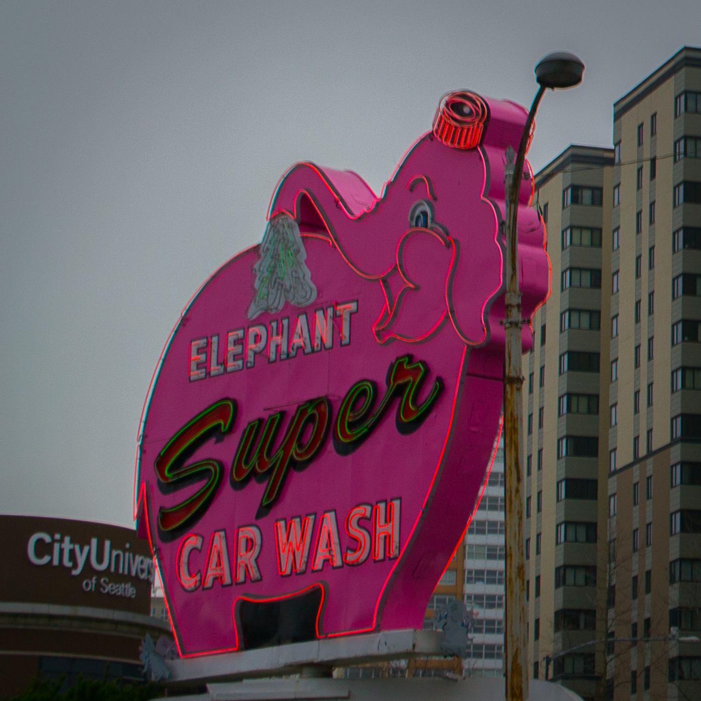 Close-up of a pink neon elephant sign with the words Elephant Super Car Wash.