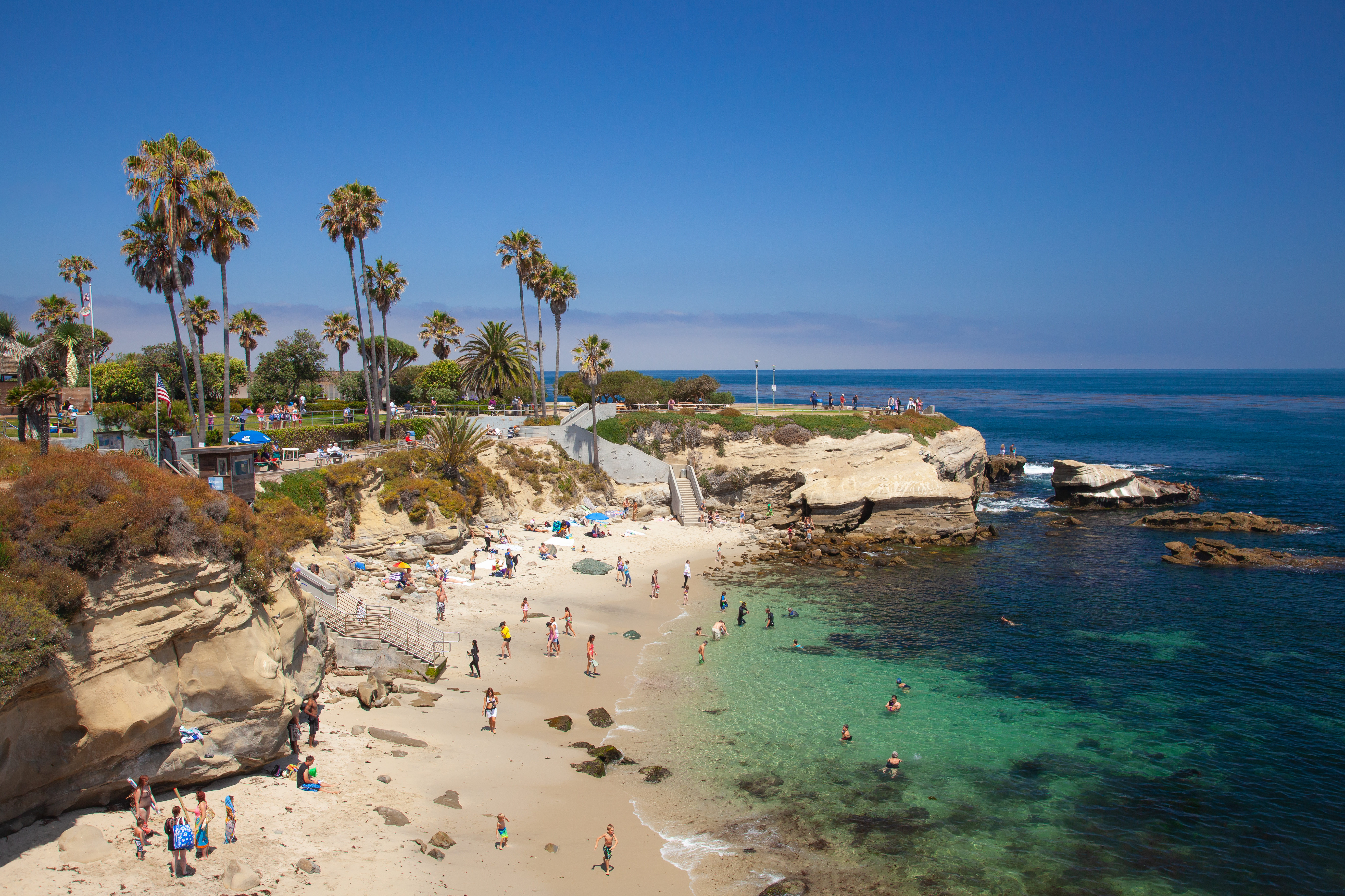 Sandy beach at La Jolla Cove bordered by sandstone cliffs and palm-lined bluffs.