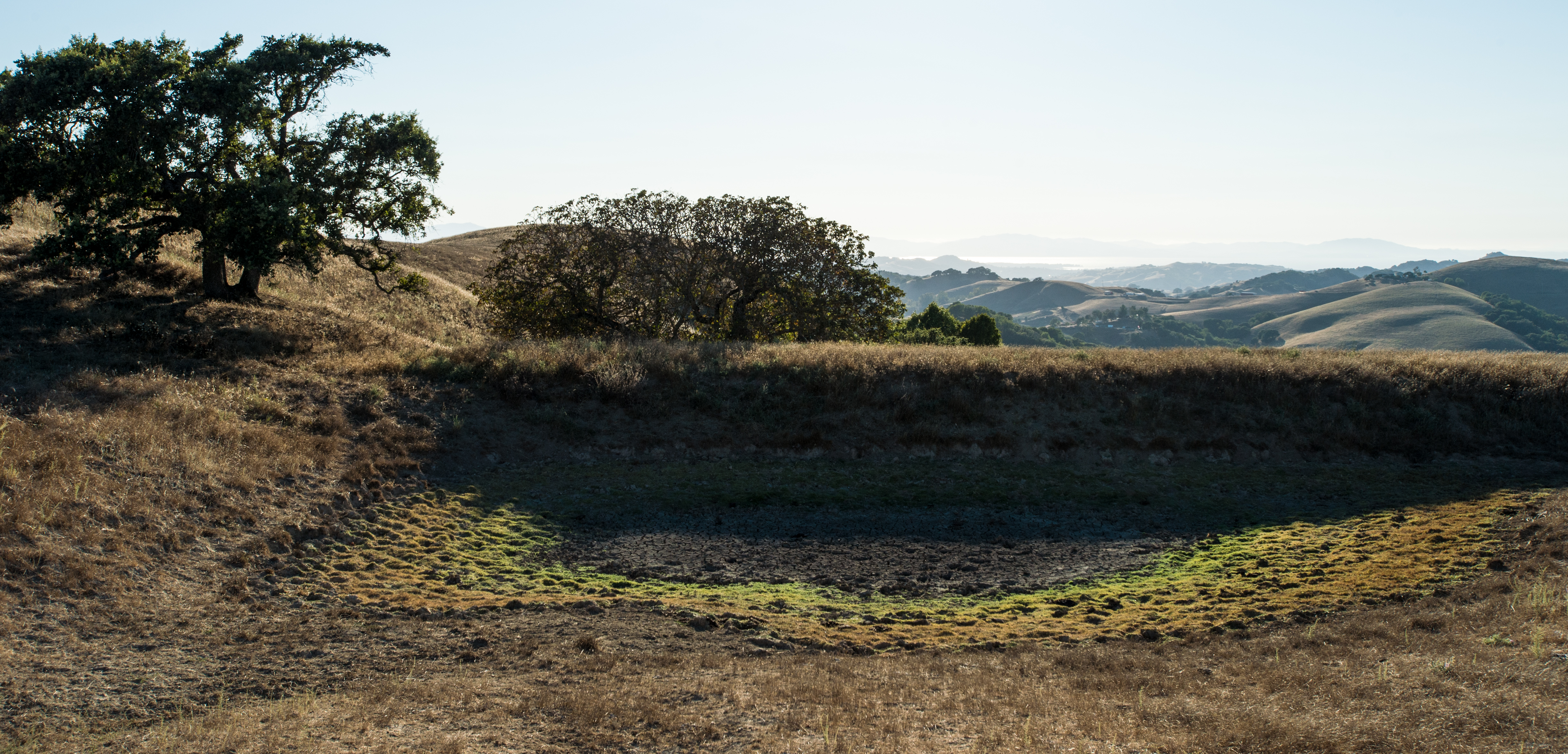 A dried-up earthen stock pond surrounded by dry golden grass and oak trees on rolling hills.