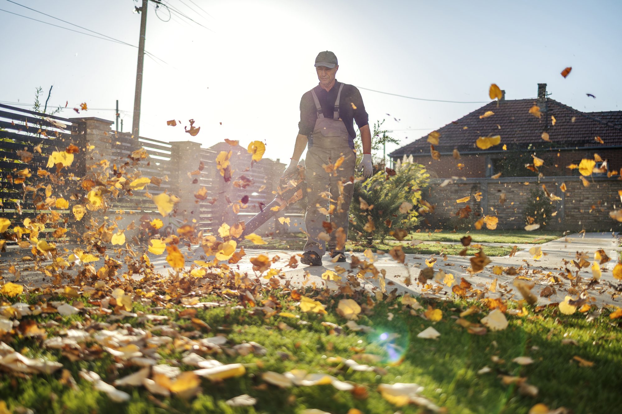 Man blowing autumn leaves from yard with leaf blower
