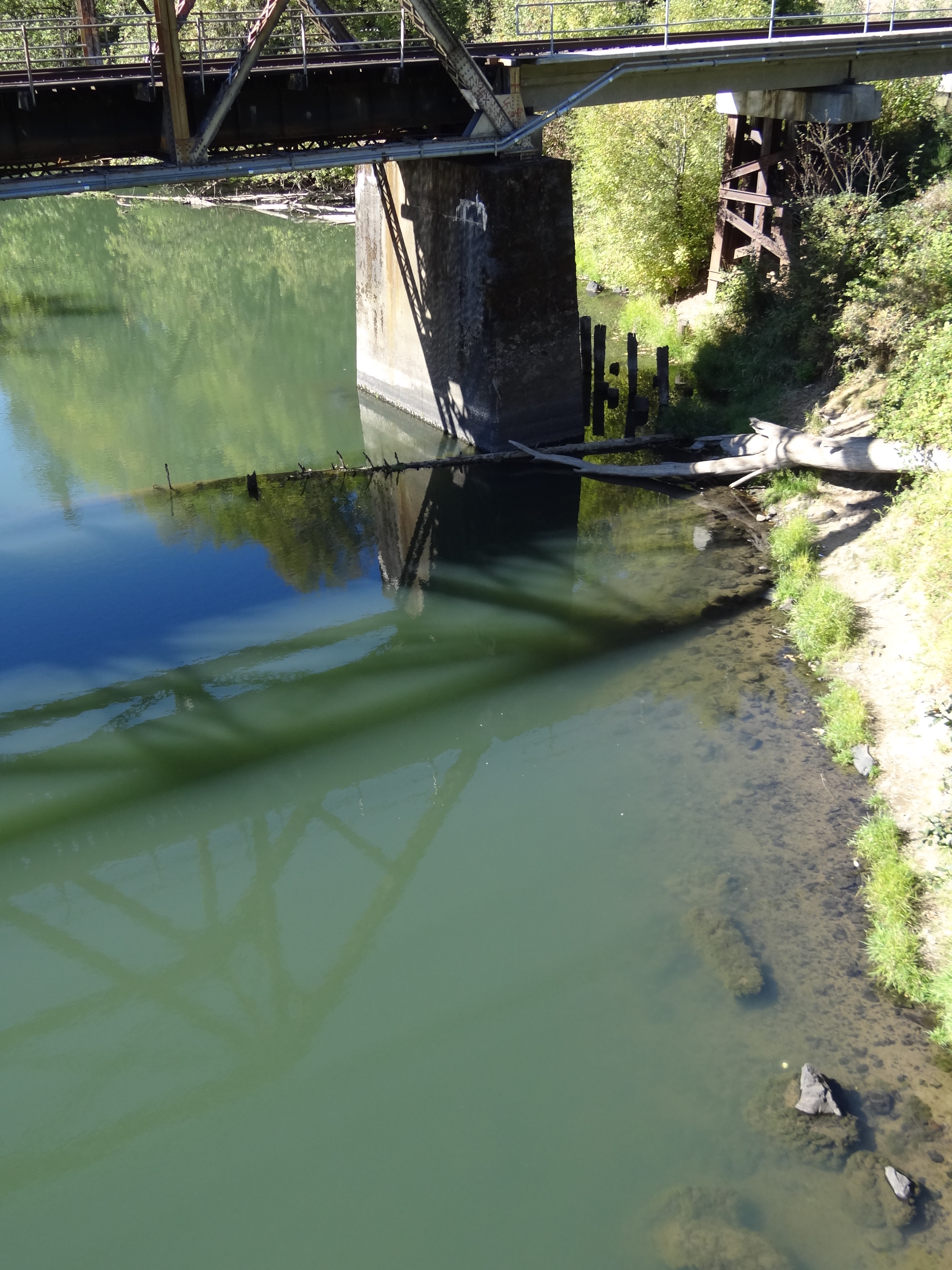 Green-tinted river water beneath a steel bridge with rocky banks and green vegetation