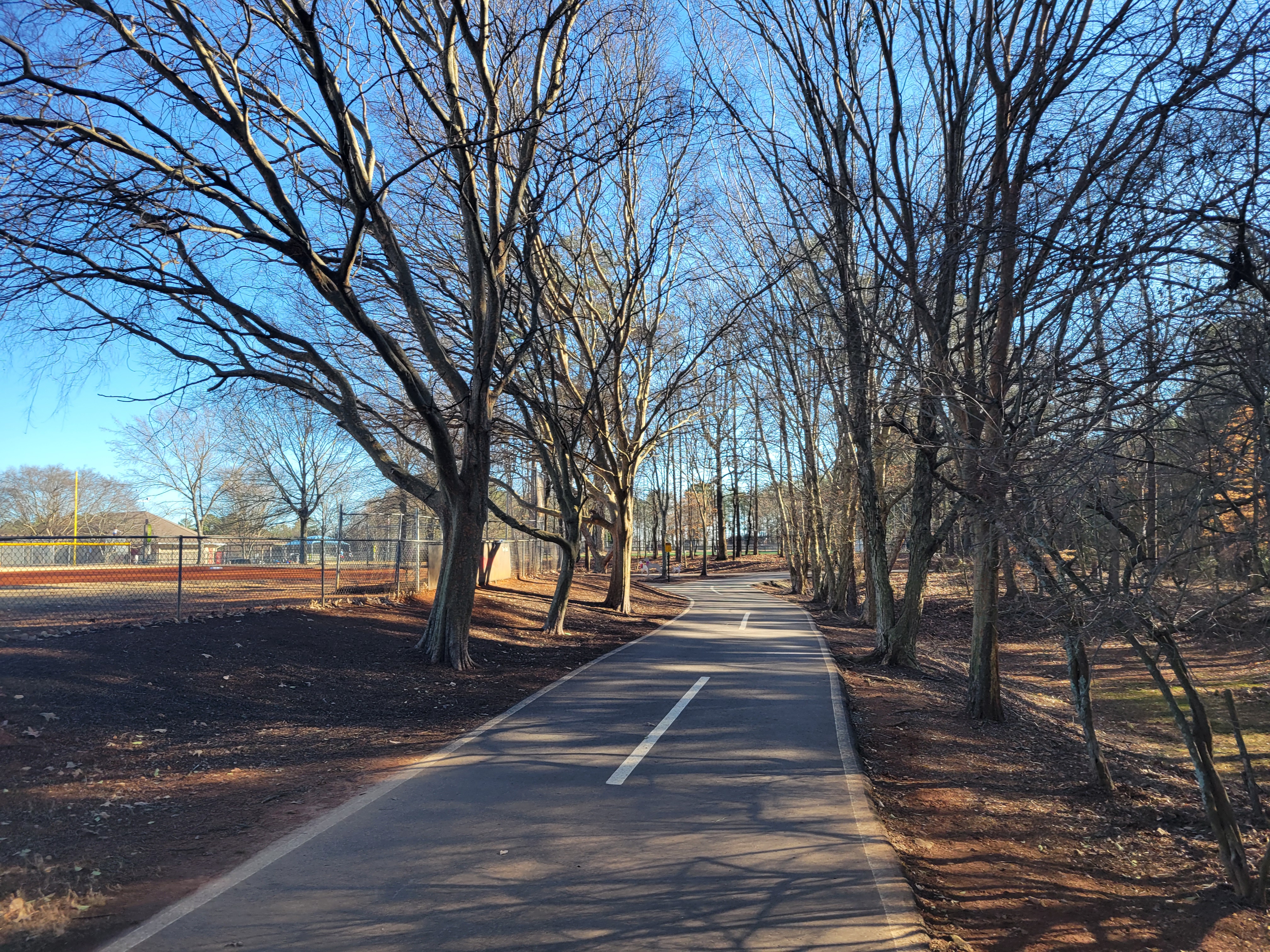 Paved walking path curves through tree-lined park on a clear day.