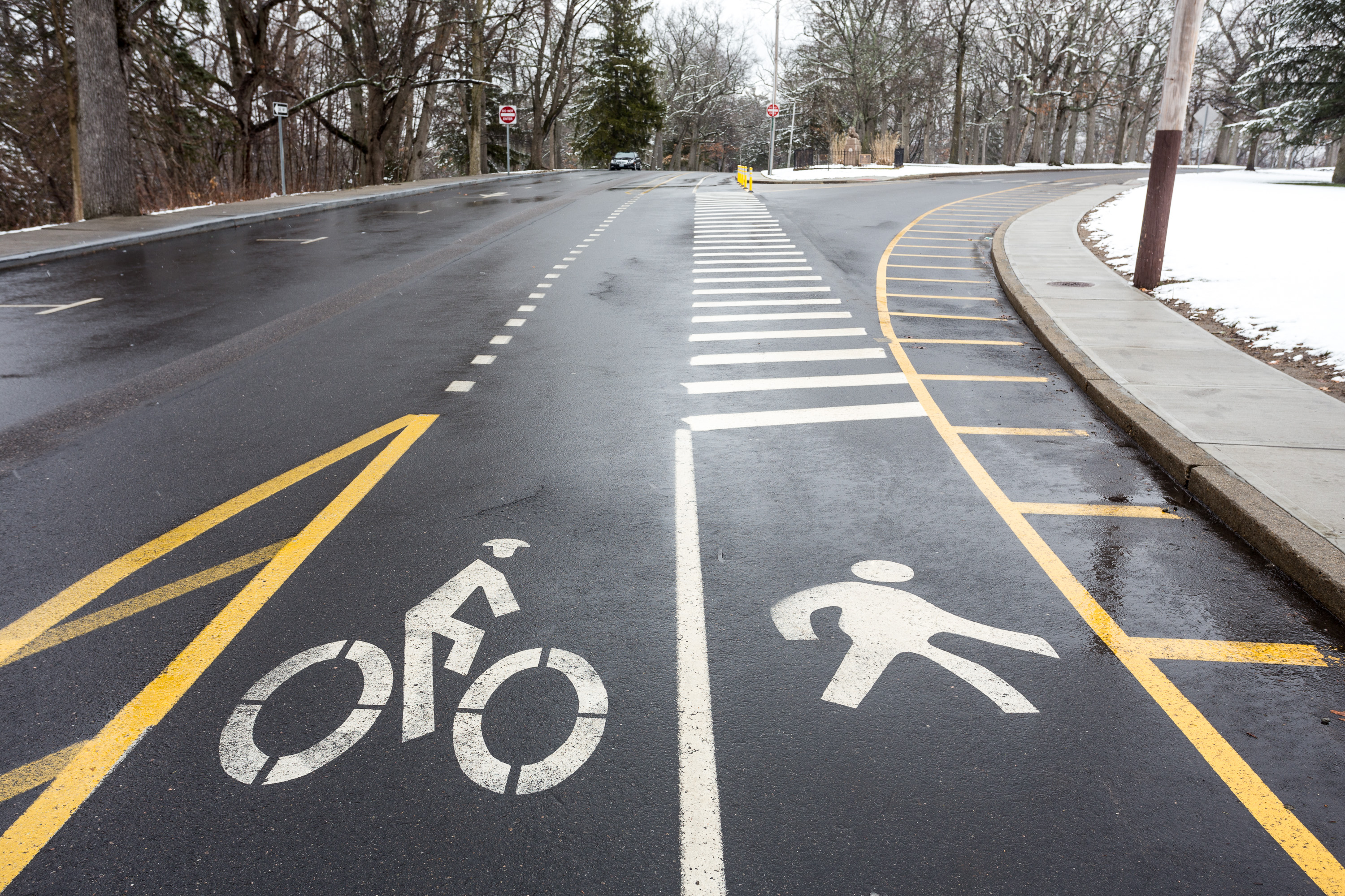 Freshly painted white bicycle symbols on a wet road with yellow lane dividers and a separated curb path.
