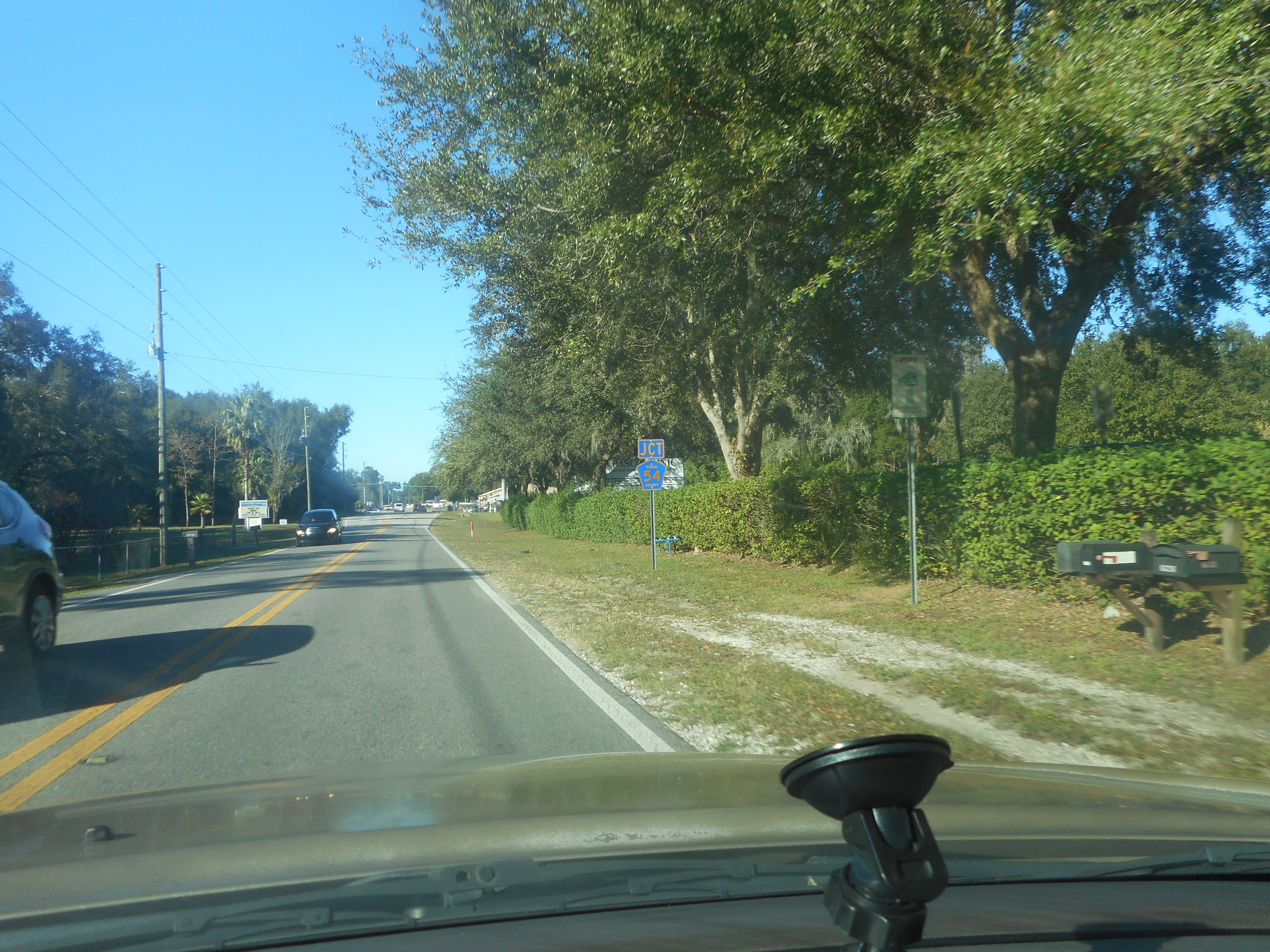 Two-lane road with a junction sign and bus stop under oak trees on a sunny day.