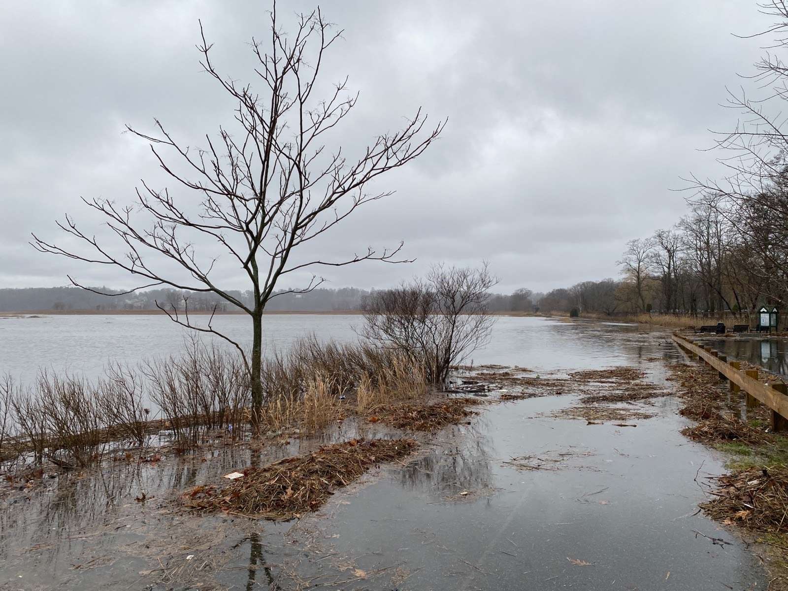 Flooded trail with standing water surrounding bare trees and a wooden boardwalk railing.