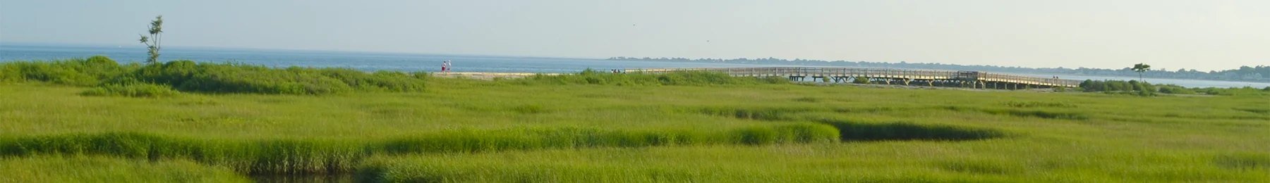 Salt marsh with a winding tidal stream and Long Island Sound visible in the background.
