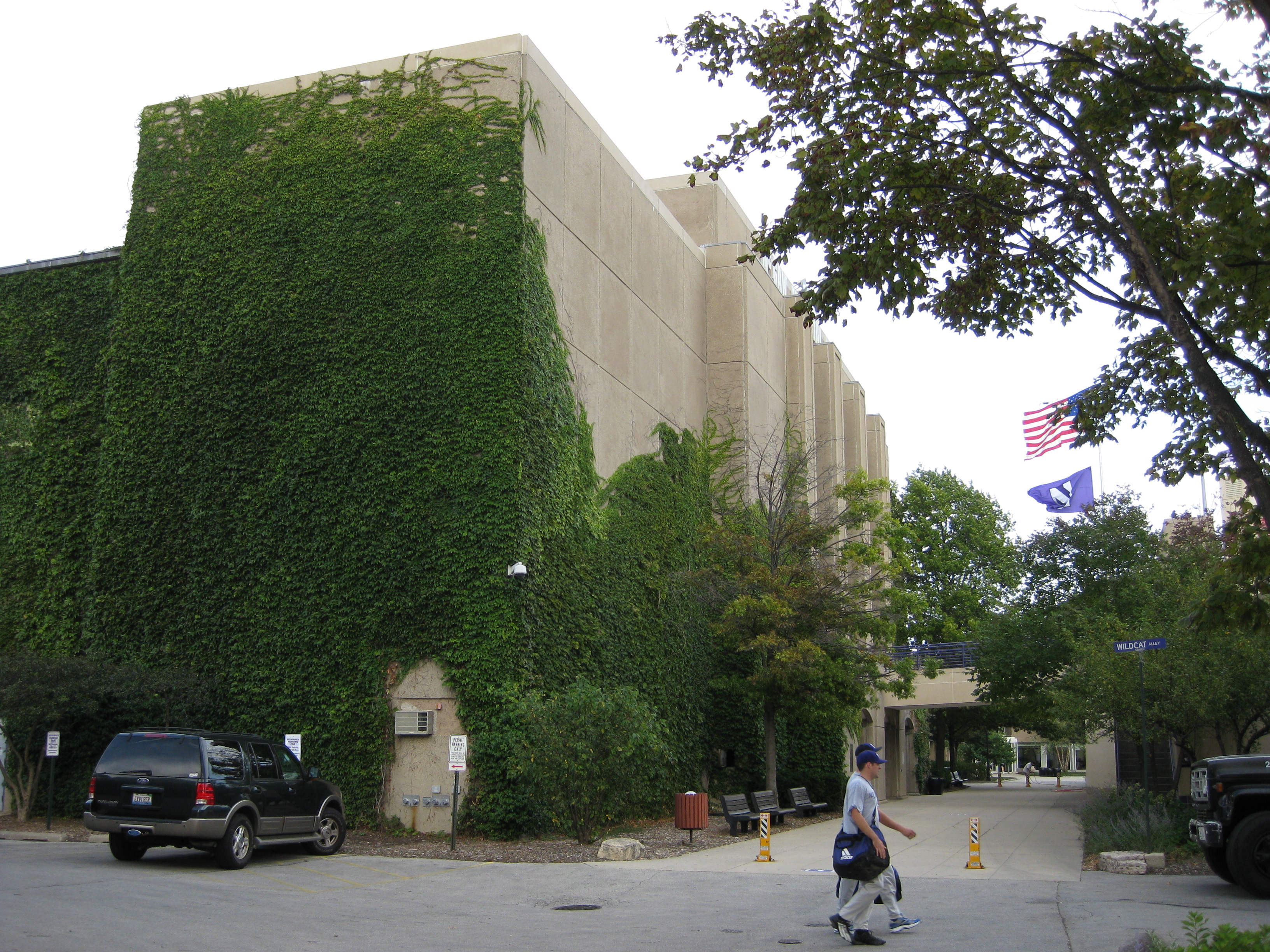 Ivy-covered campus building flying a purple Northwestern University flag.