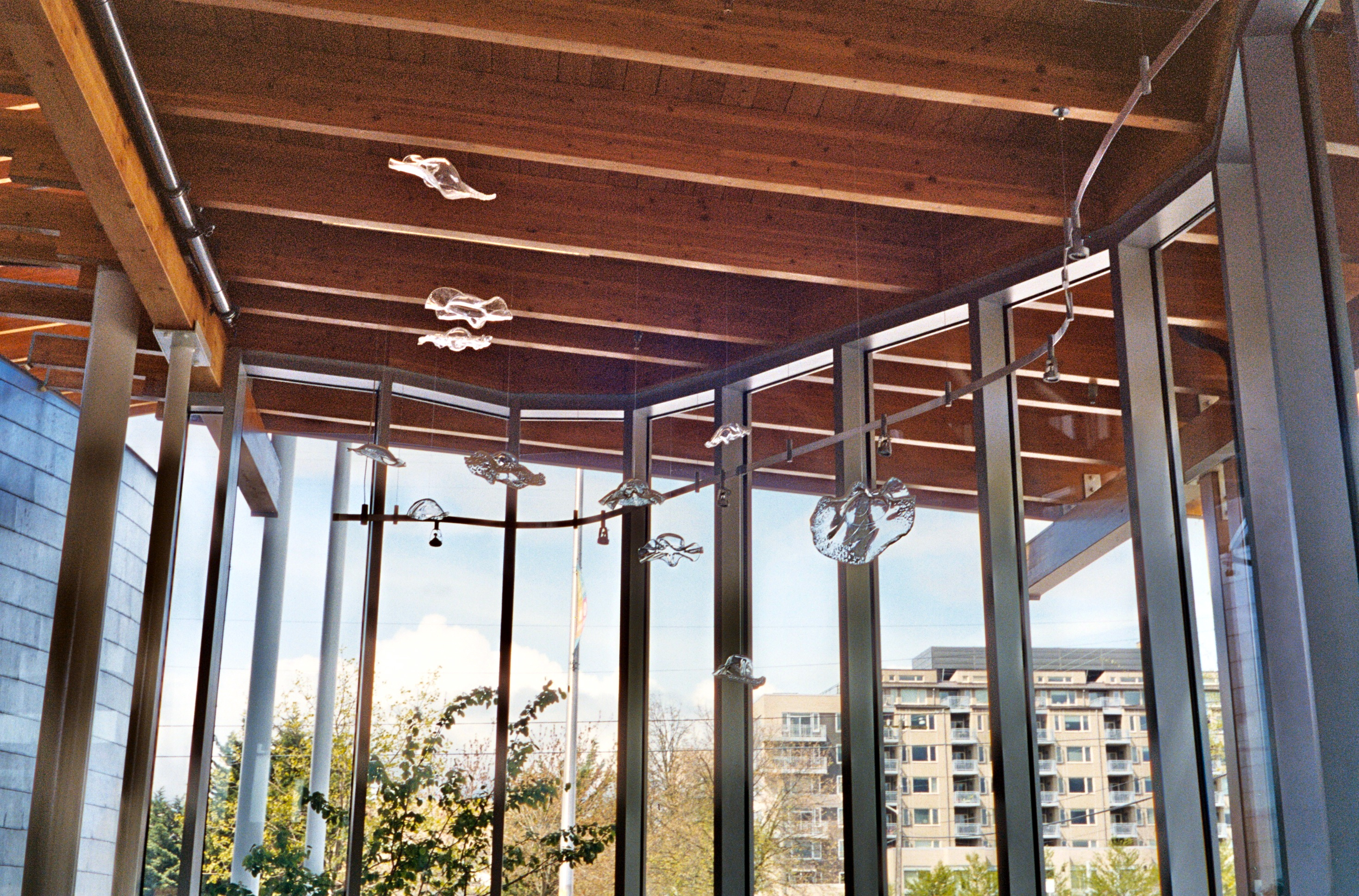 Library interior with a warm wood-paneled ceiling, tall glass walls, and hanging glass sculptures.