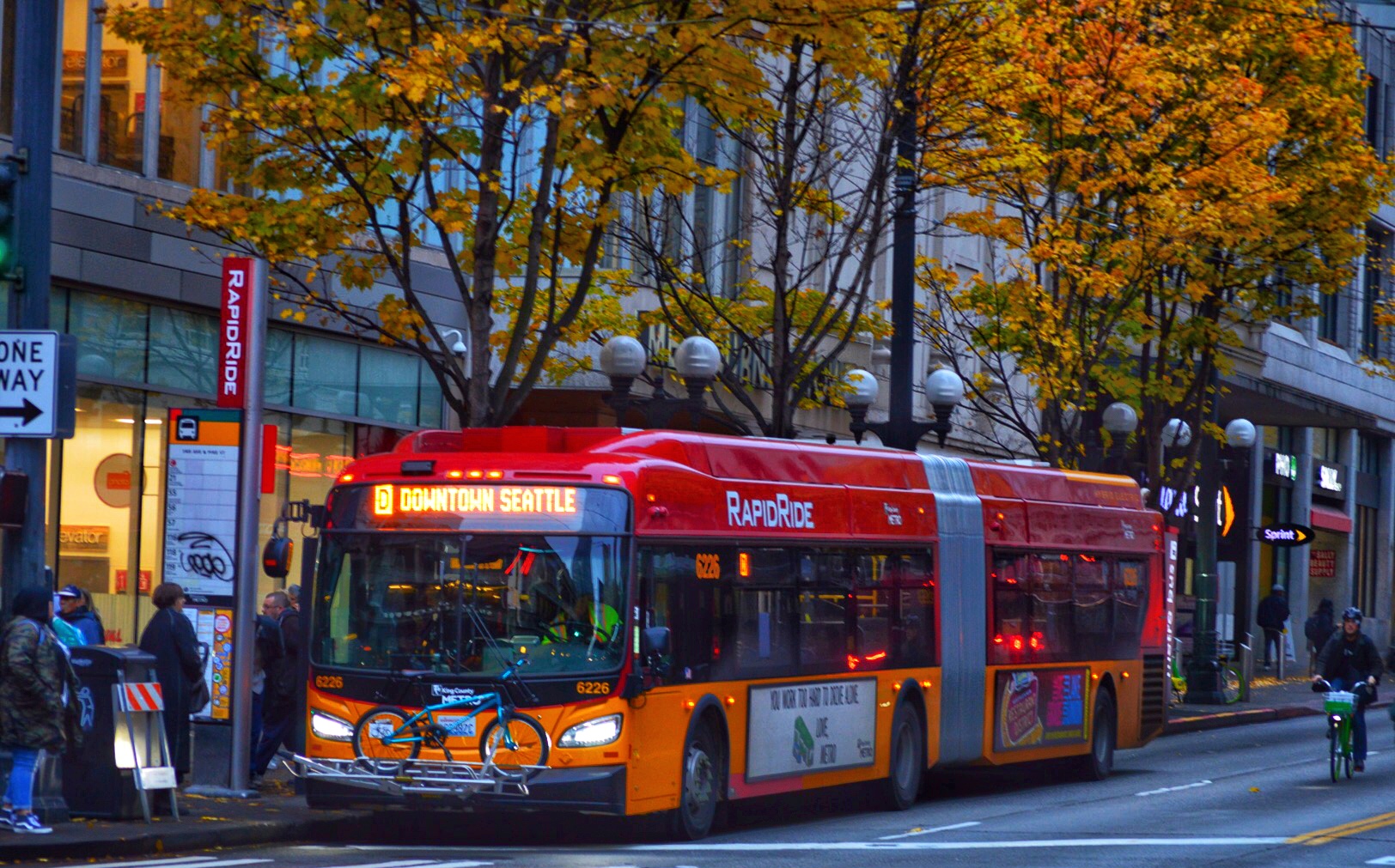 A red and orange RapidRide D Line bus on a Seattle street with autumn foliage.