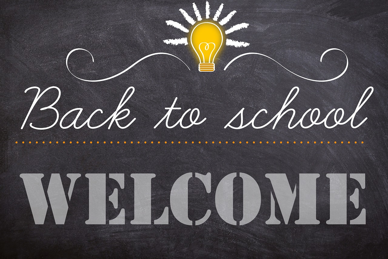 Back to school, school enrollment, school, school start, teaching, to learn, school year, board, lightbulb, back to scho
