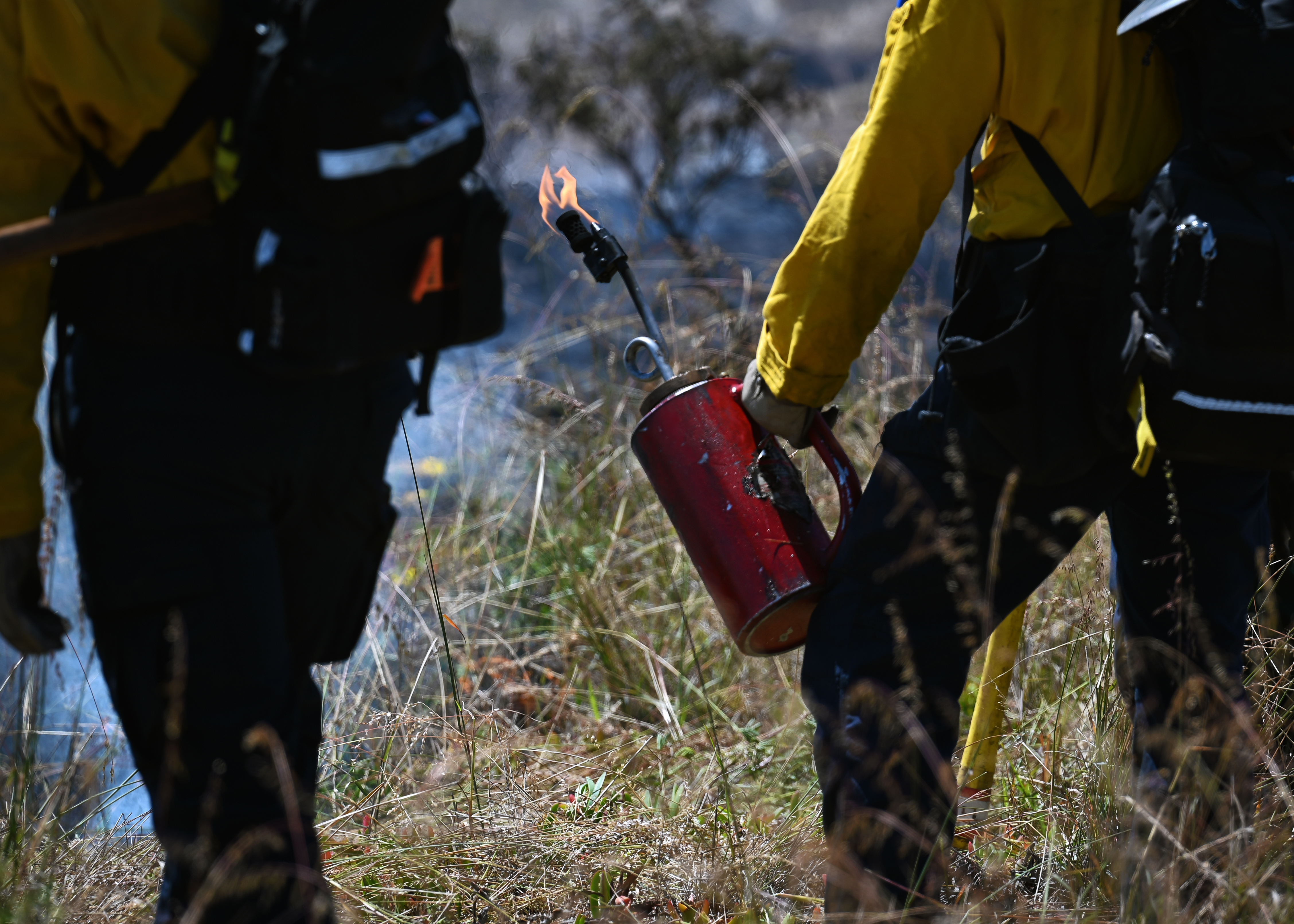 Firefighter in yellow gear holding a lit drip torch over dry grass with smoke in the background.