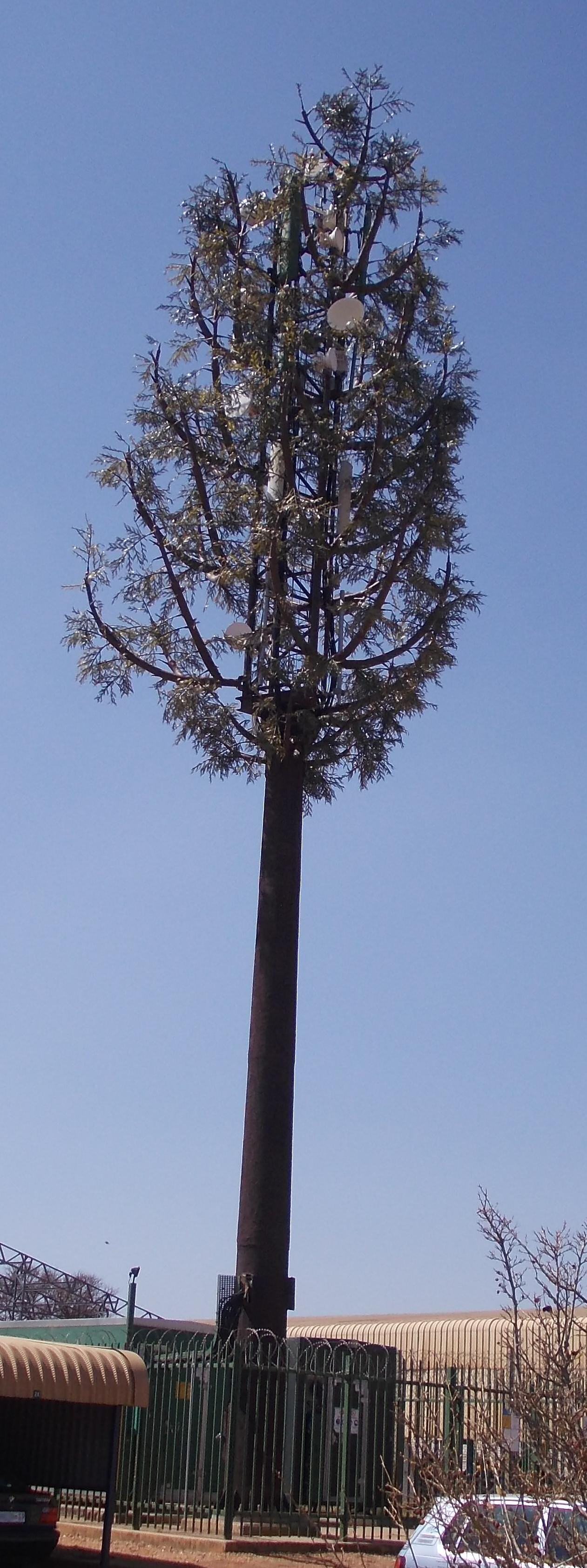 A tall steel cell tower camouflaged to look like a conifer tree with artificial branches.