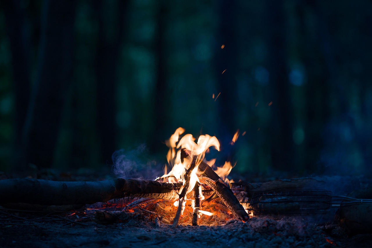 Flame, fire, heat, burn, spark, blazing, horizontal, no people, night, combustion, pine, igniting, survival, timber, cam