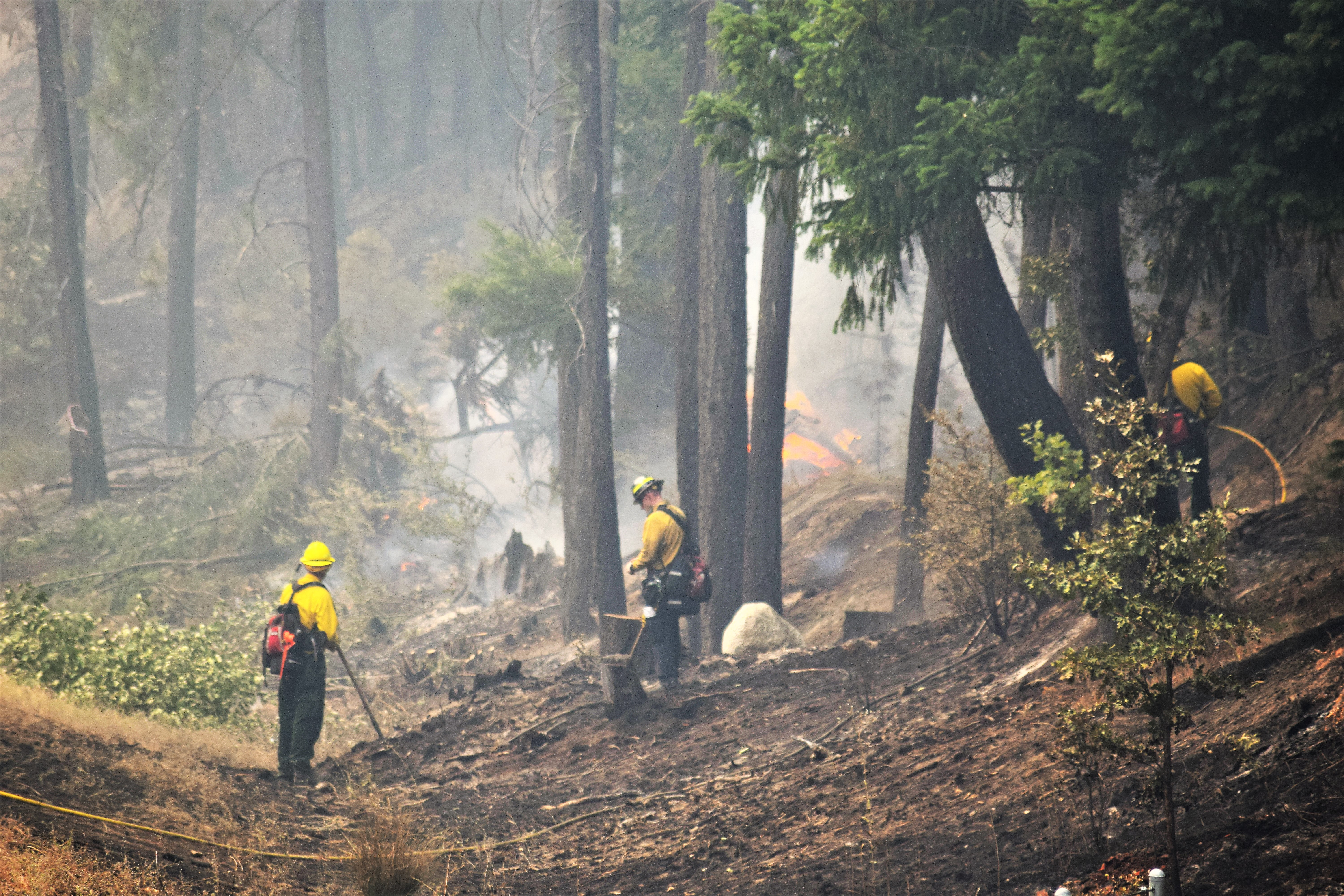 Two firefighters in yellow gear work on a steep, smoke-filled burned hillside.