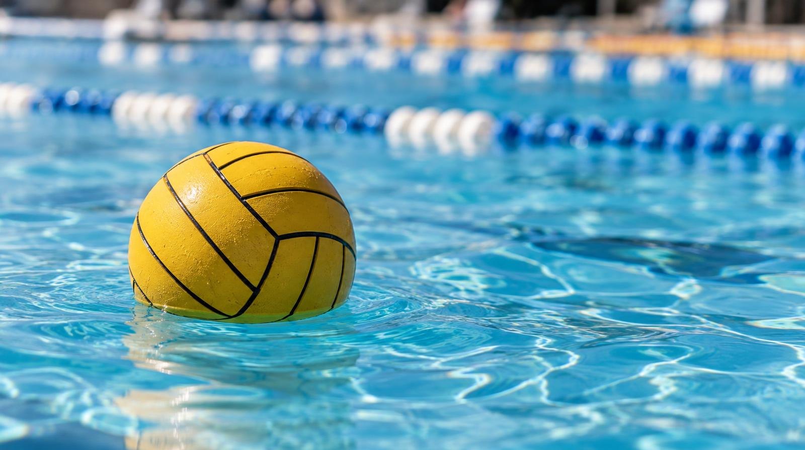 A water polo ball floating on the surface of a bright blue swimming pool.