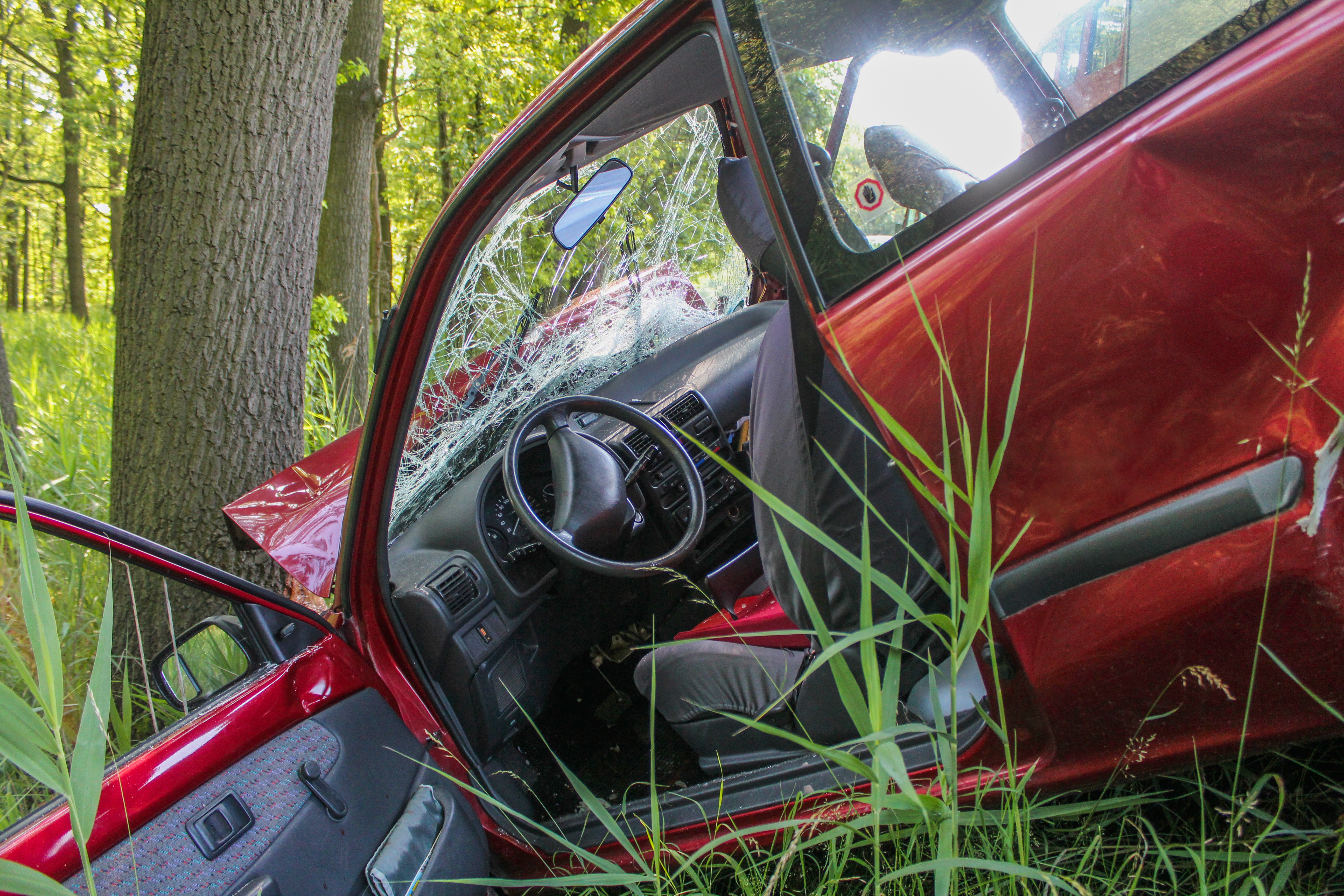 A red car with a shattered windshield crashed against a tree in a wooded area.
