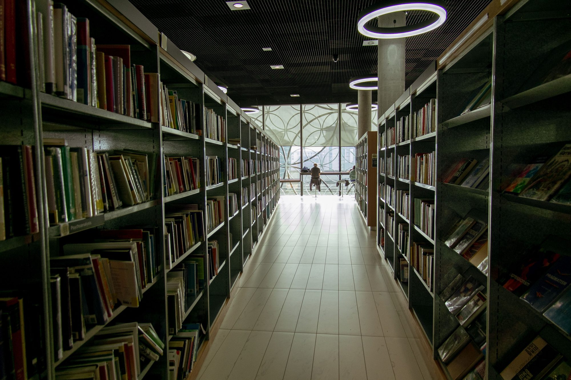 Long passage between bookshelves with assorted literature in spacious modern library with books and visitor studying at table near window