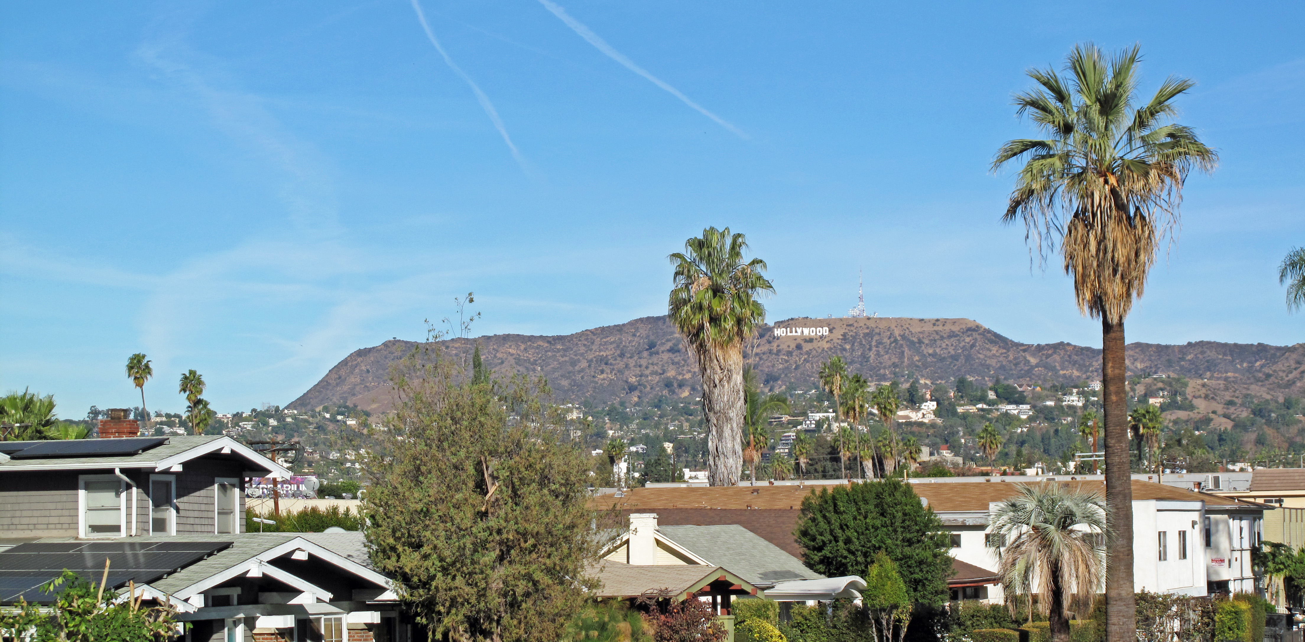 Hollywood Sign on a hillside above a residential Los Angeles neighborhood with palm trees