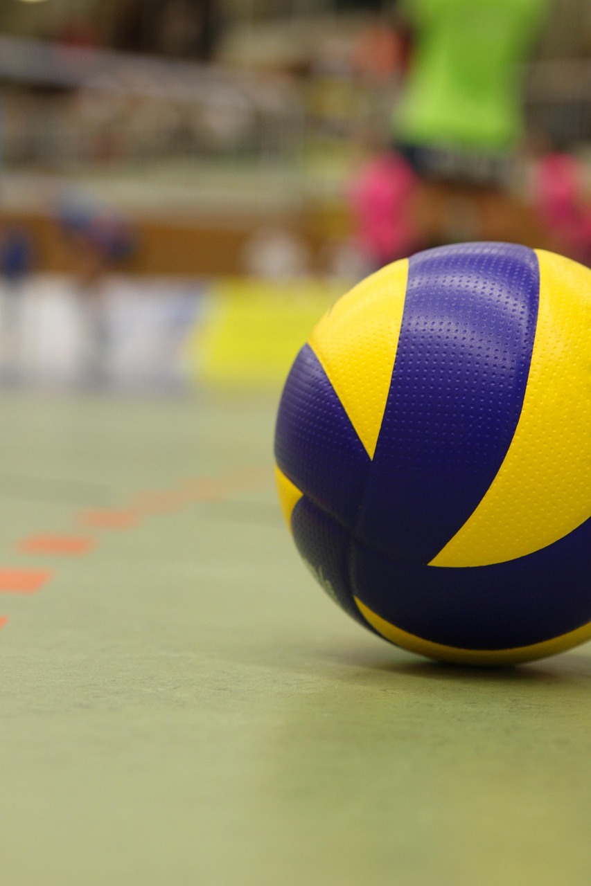 Volleyball, ball, player, team, sport, competition, ball sports, fans, hall, play, championship, playing field, volleyba