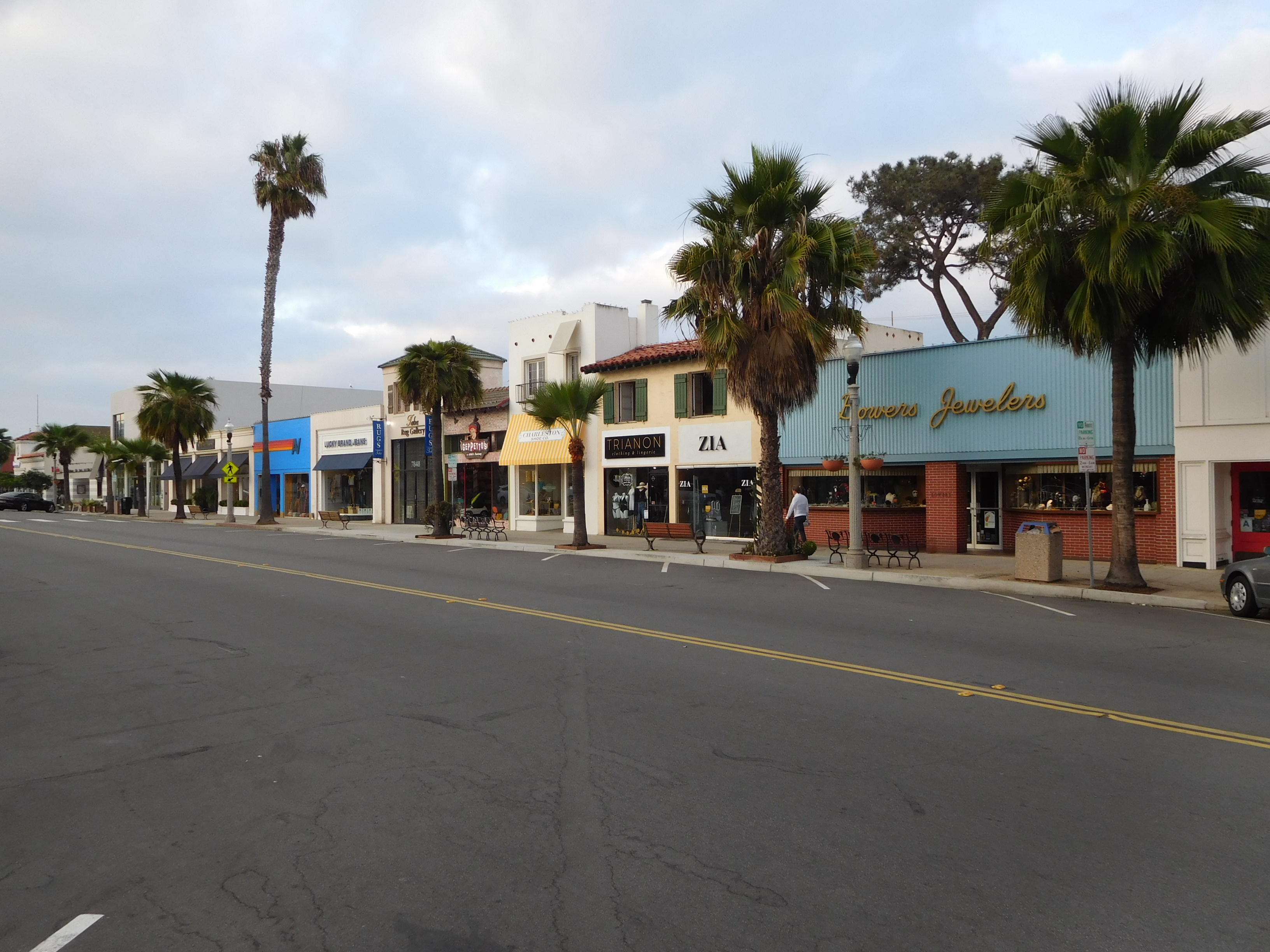 Palm-lined commercial street with low-rise retail storefronts under a cloudy sky.