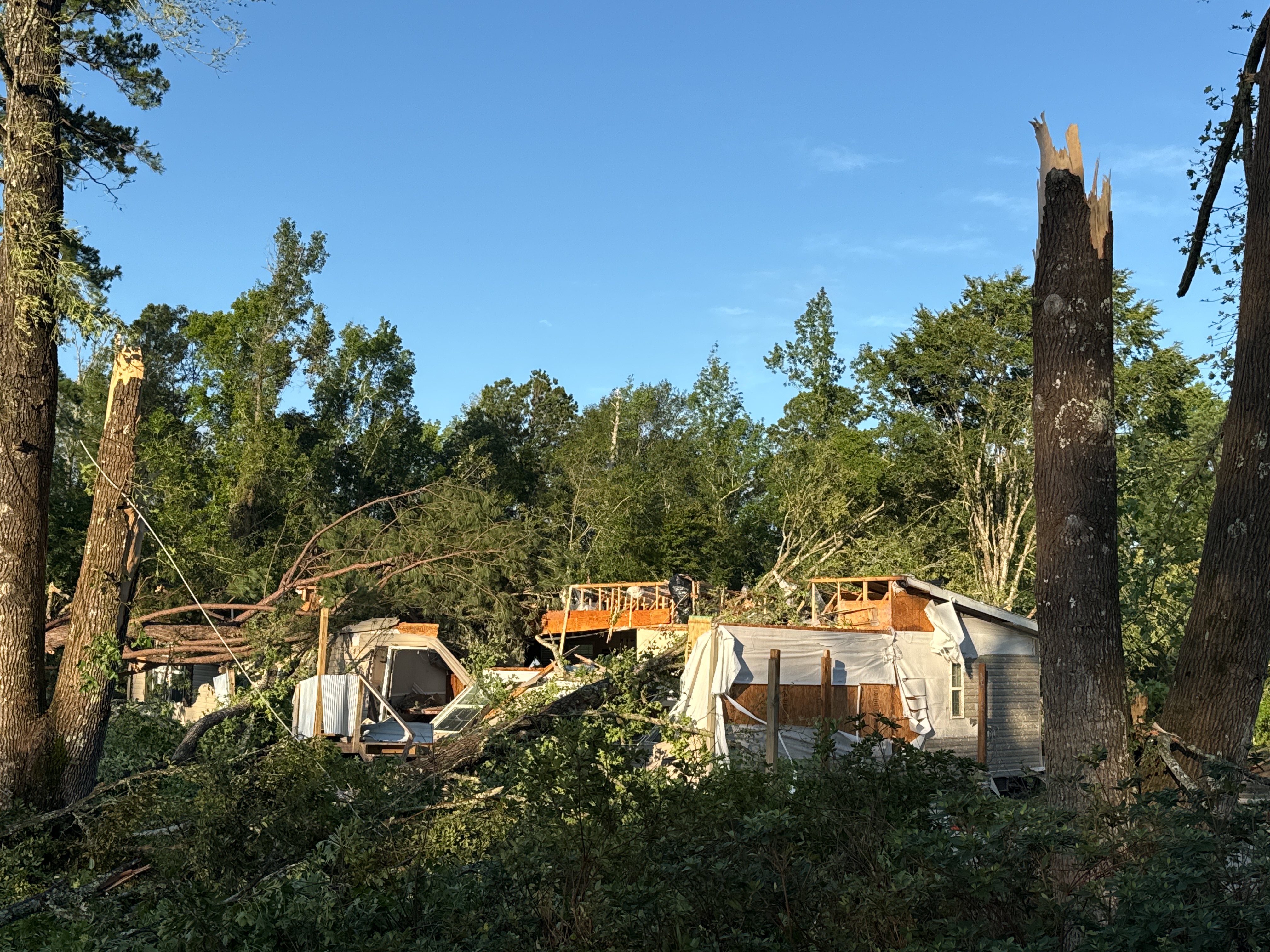 Destroyed modular home surrounded by uprooted trees and scattered debris.