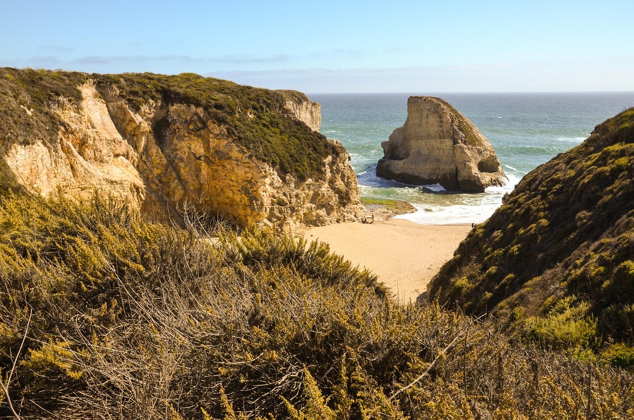 Usa, america, california, pacific, pacific coast, highway 1, highway one, summer, sunny, coast, nature, beach