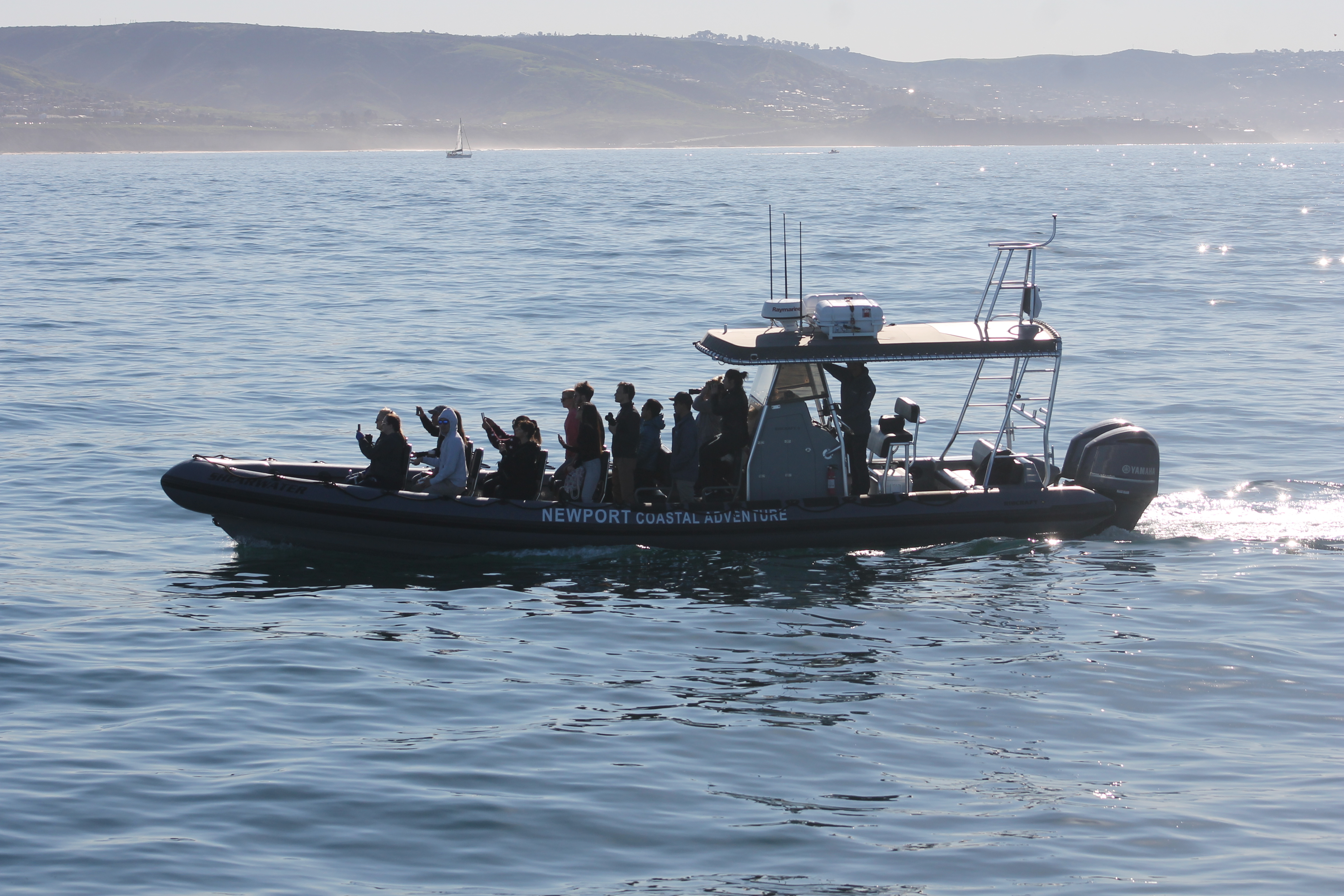 A rigid inflatable charter boat with passengers on calm ocean water near a hilly coastline.