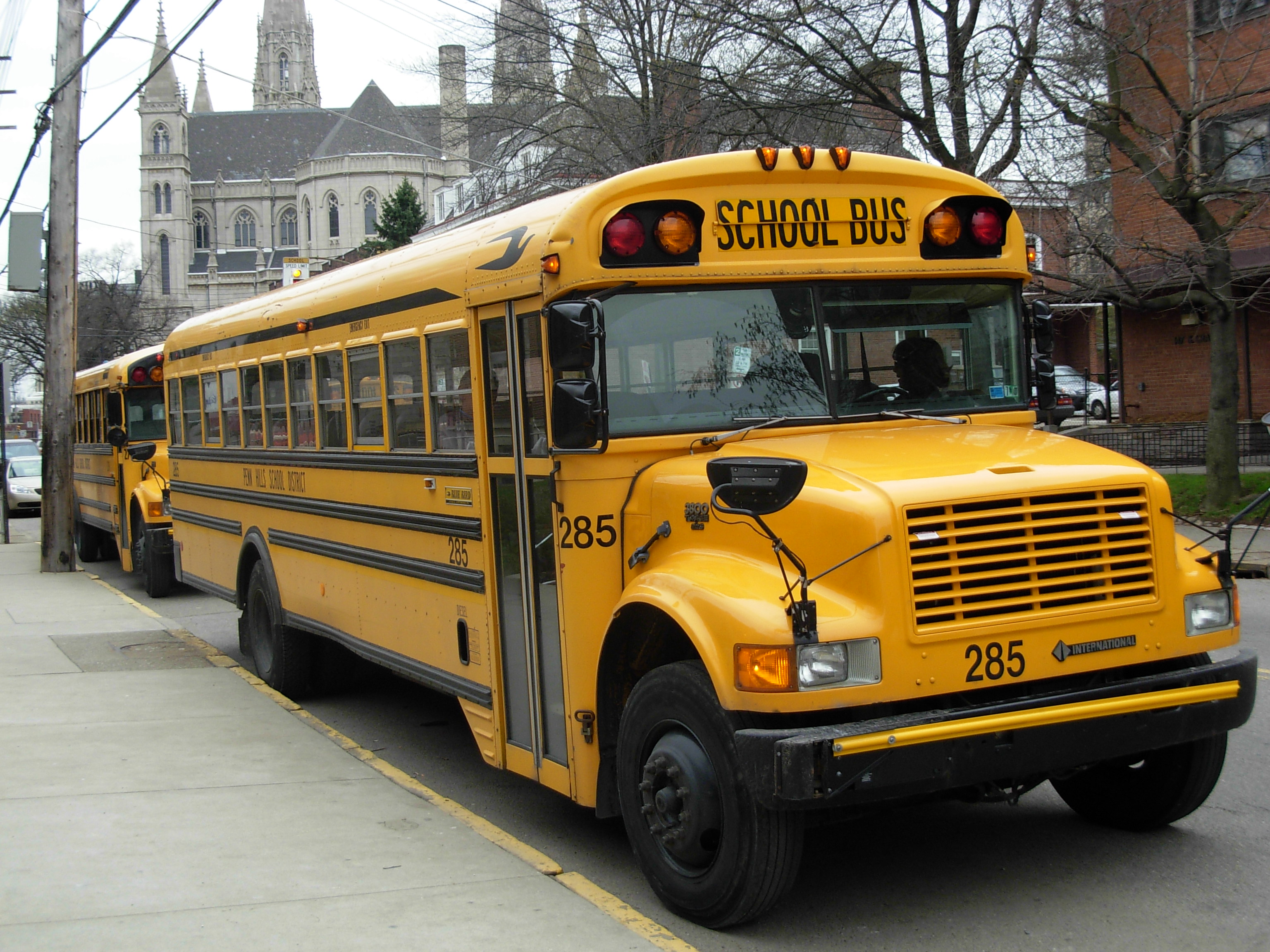 Two yellow school buses parked along a curb on a city street.