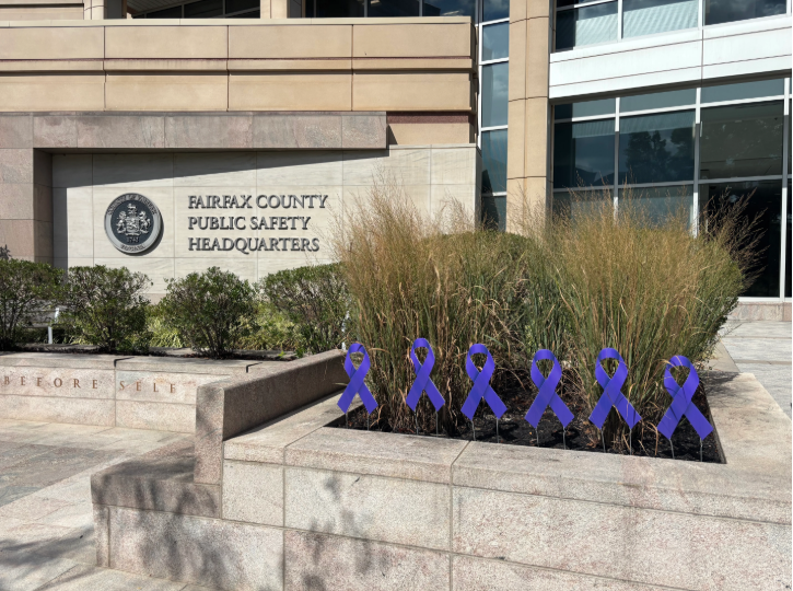 Purple ribbon decorations in a landscaped planter outside a stone and glass government building.