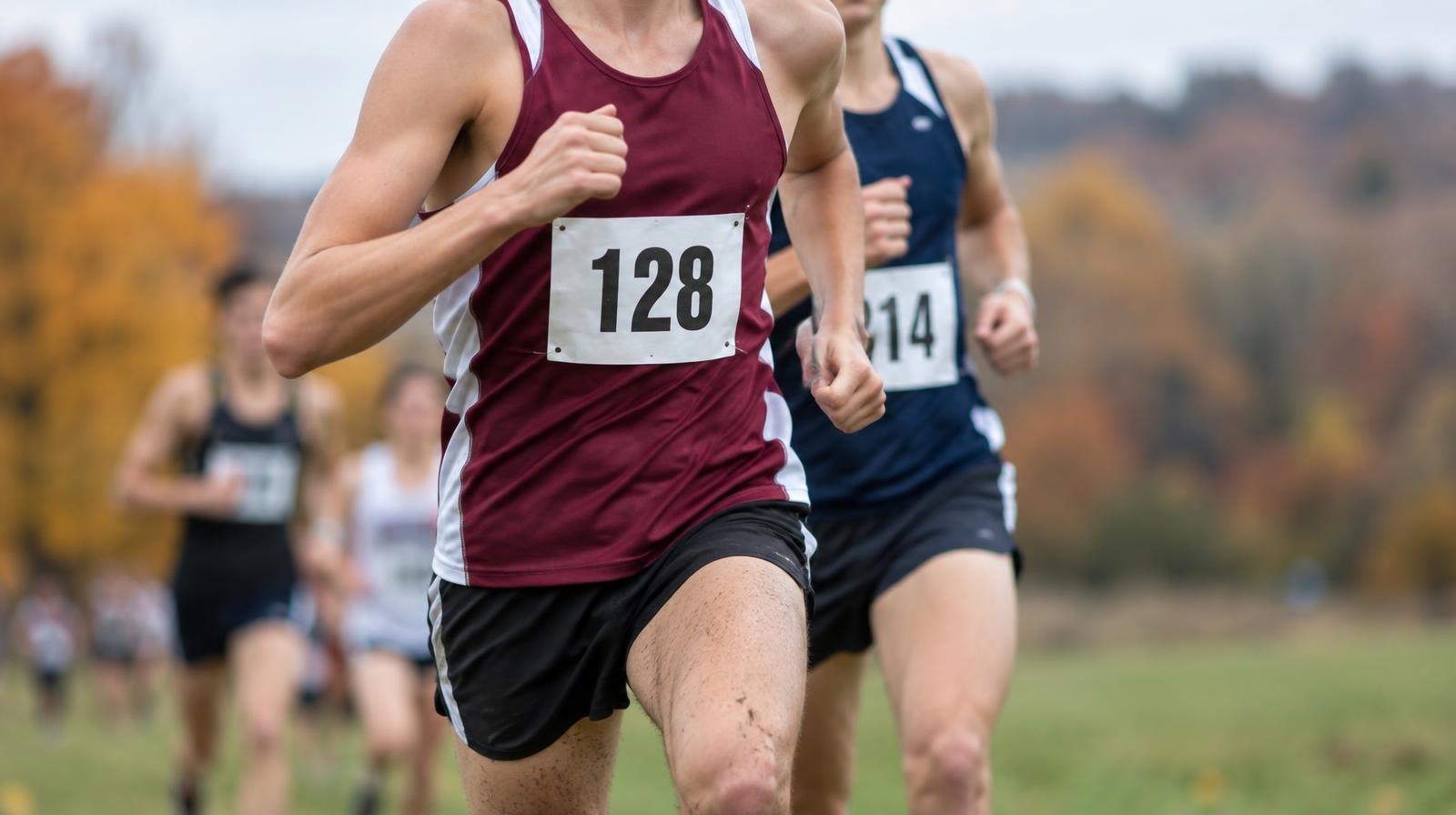Runners wearing numbered race bibs race across a grass course amid fall foliage.
